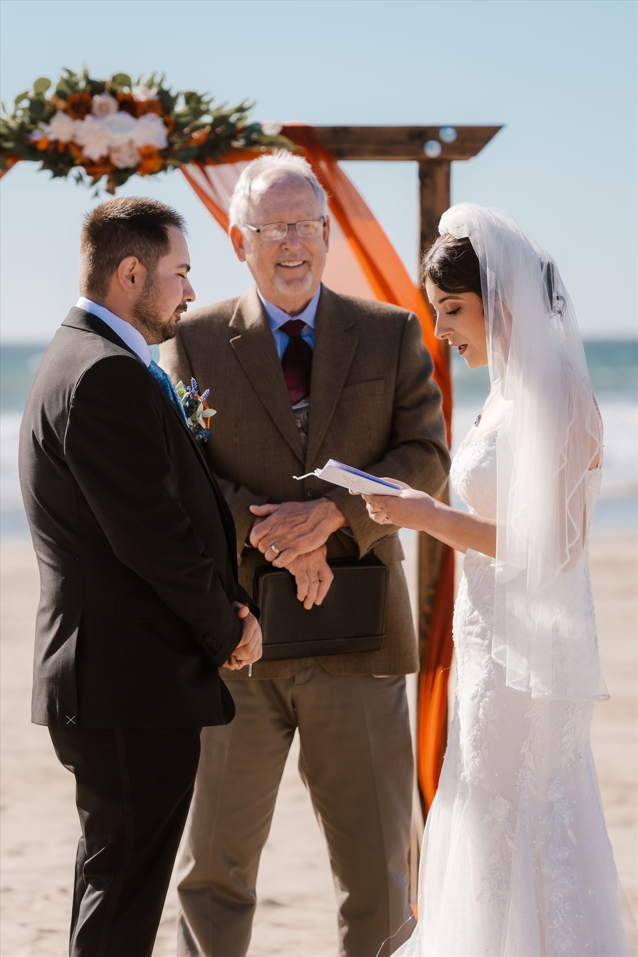 Final-4236.jpg  by Sarah Williams