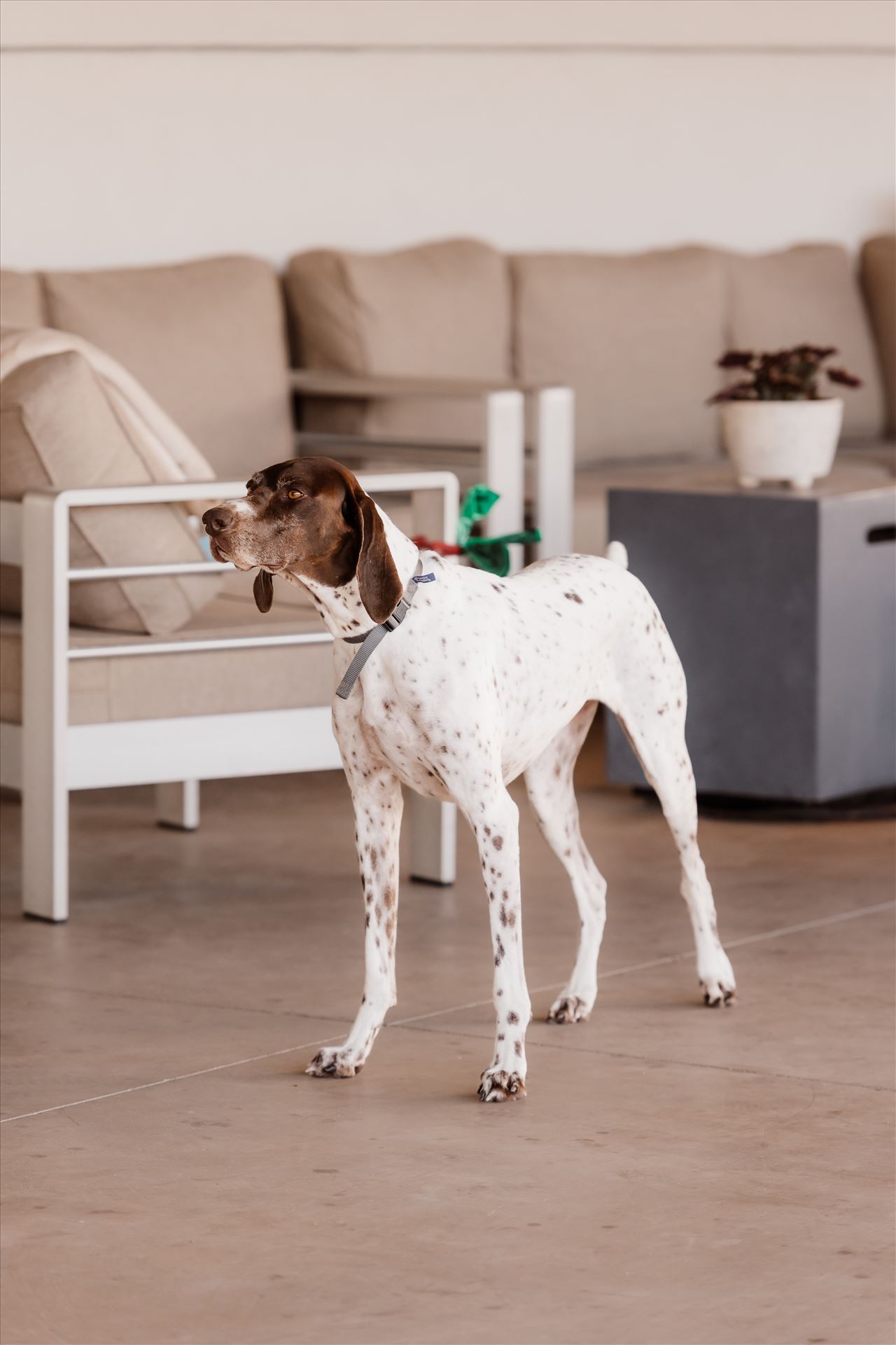 Final-2311.jpg  by Sarah Williams