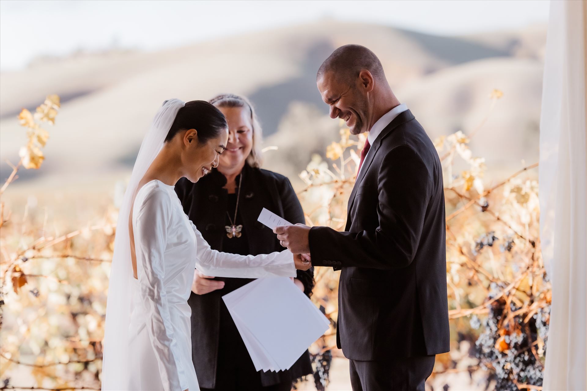 Final-2476.jpg  by Sarah Williams