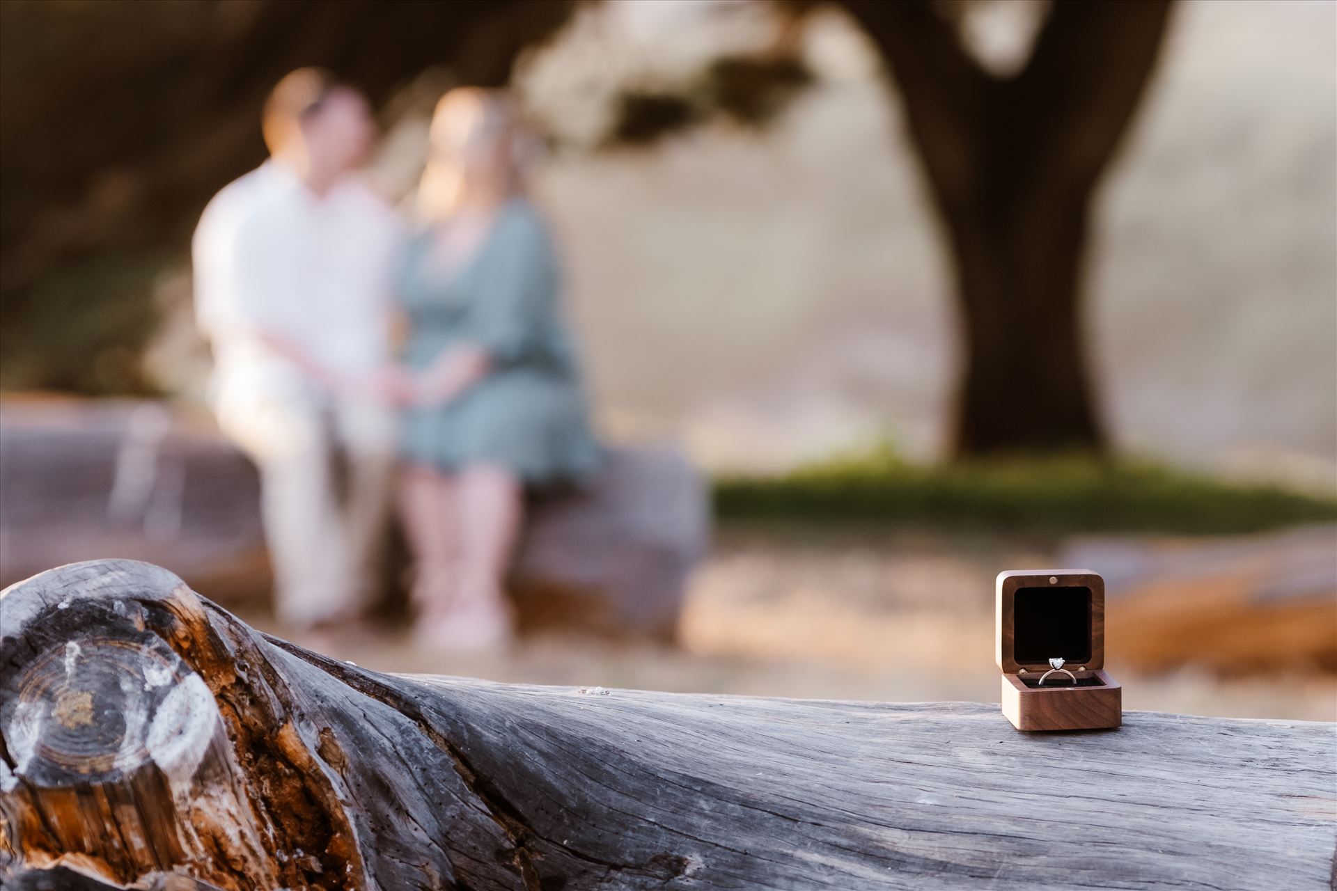 Engagement-2120.jpg  by Sarah Williams