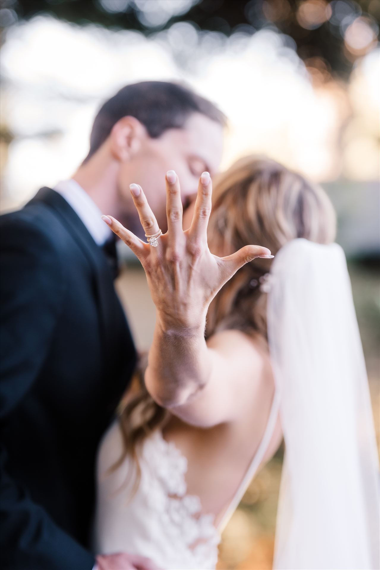 Final BG-0377.jpg  by Sarah Williams