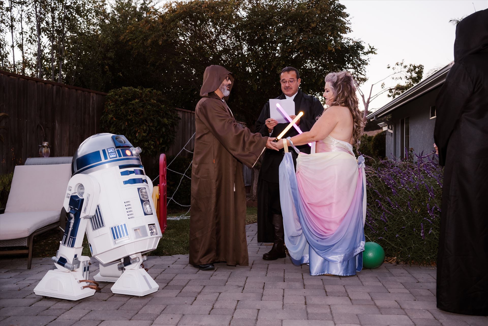 Final-7343.jpg  by Sarah Williams