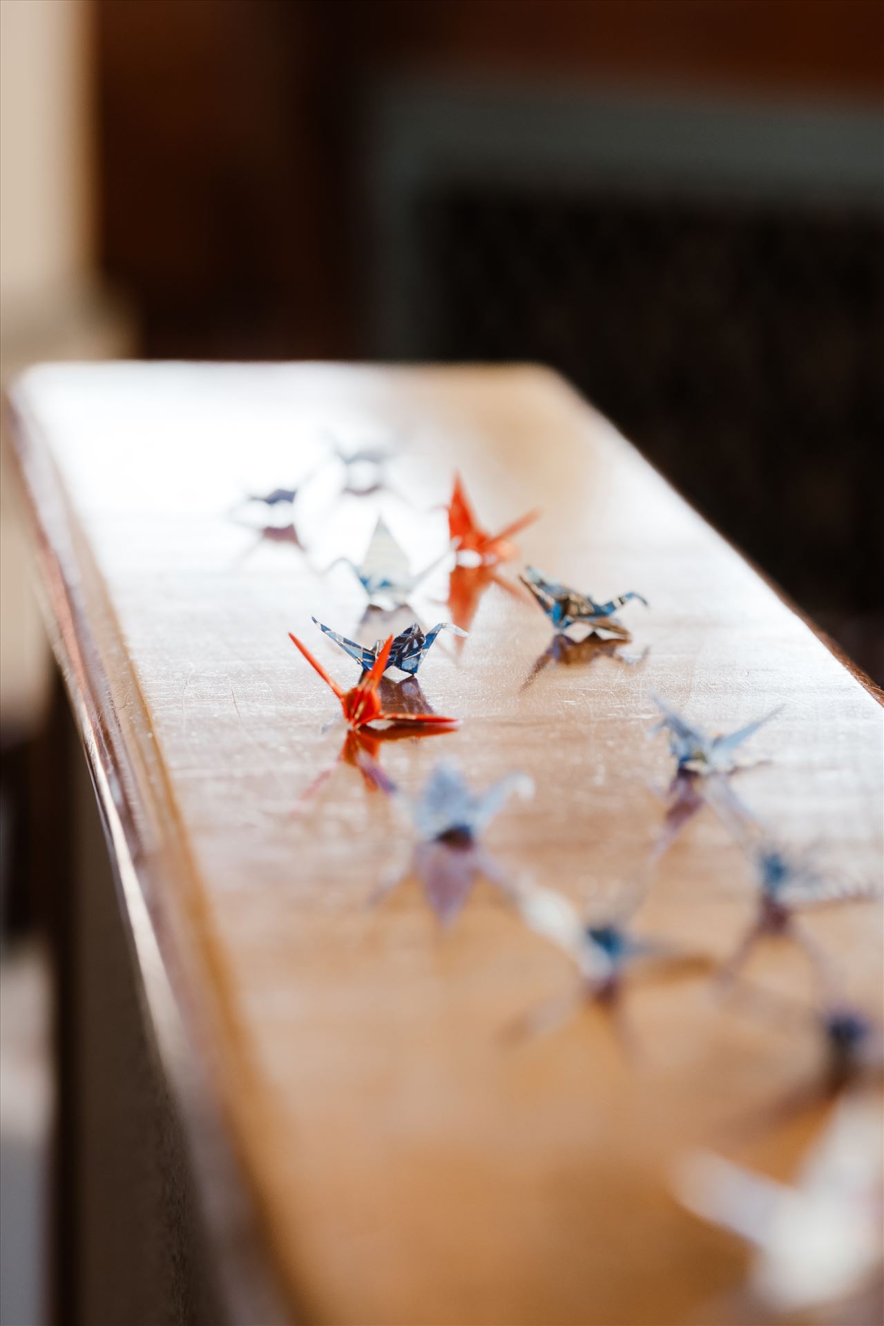 Final-9278.jpg  by Sarah Williams