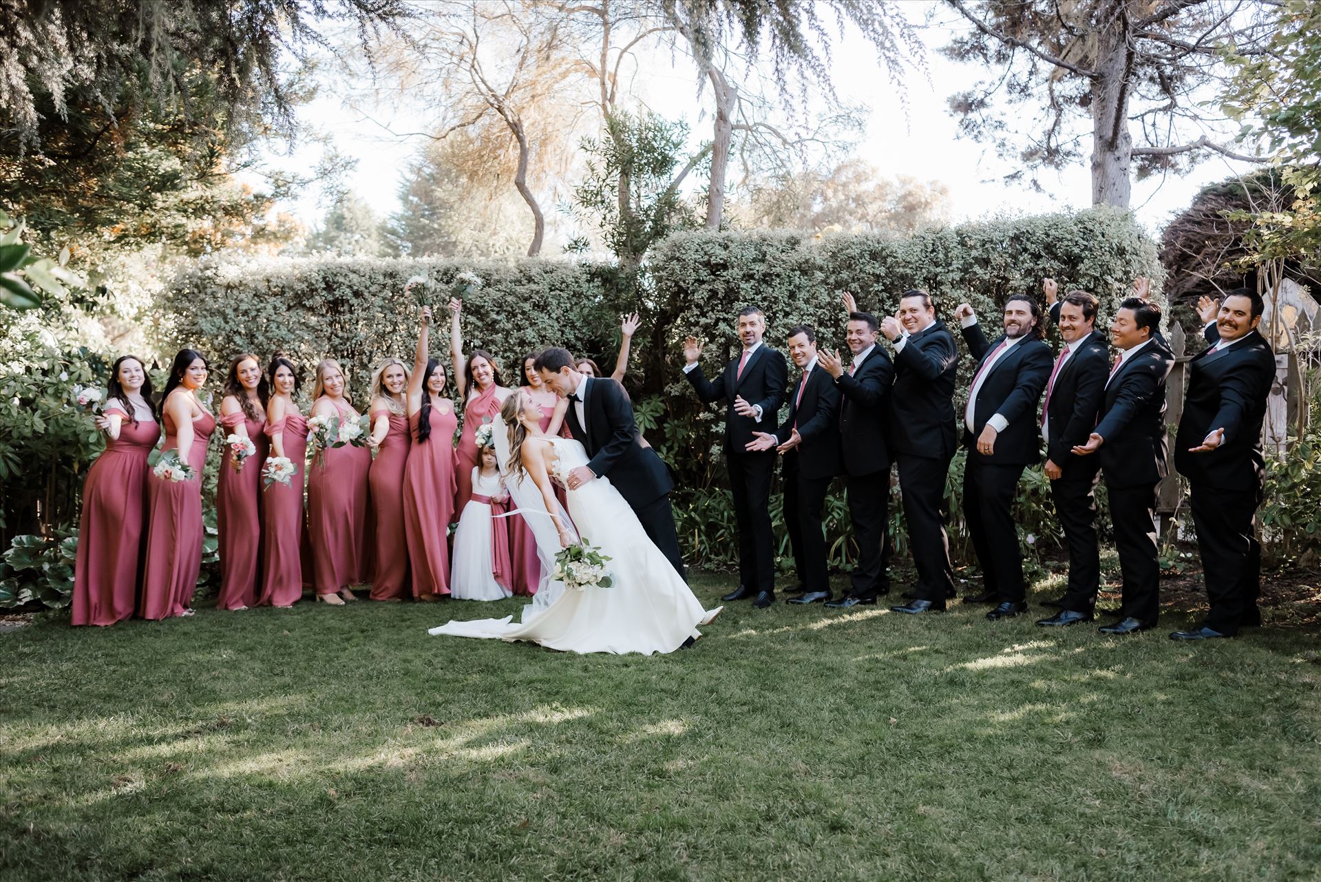 Final-8294.jpg  by Sarah Williams