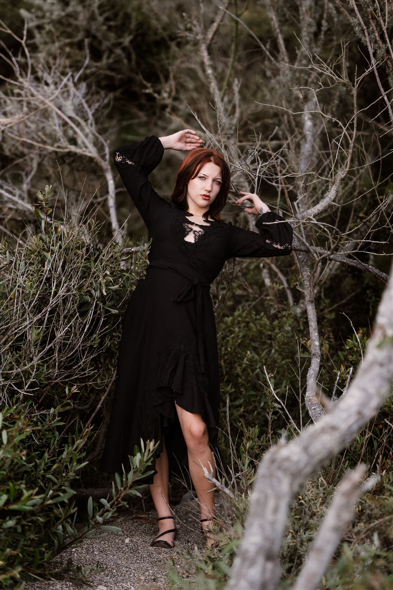 Final 1--15.jpg  by Sarah Williams