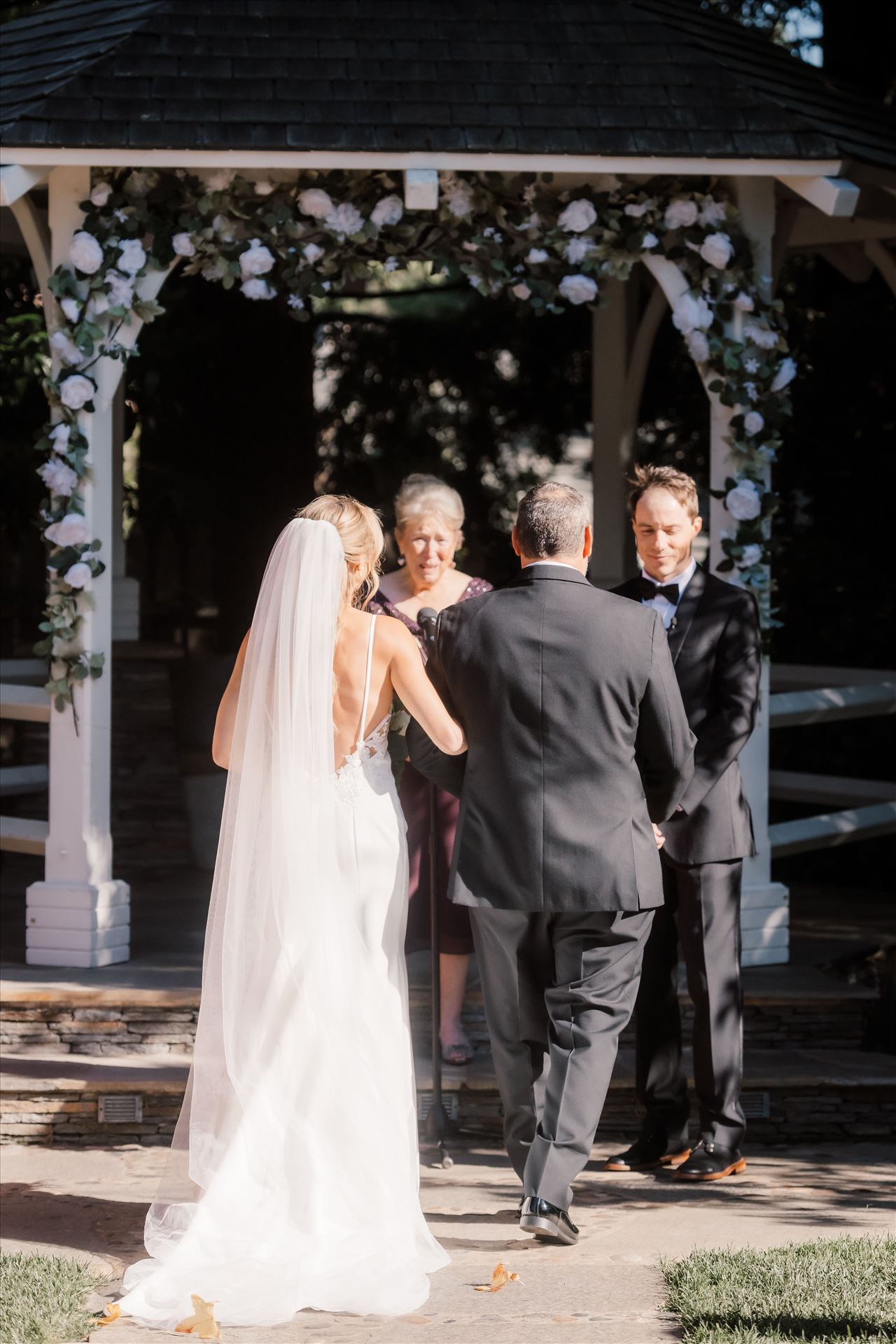 Final-0137.jpg  by Sarah Williams