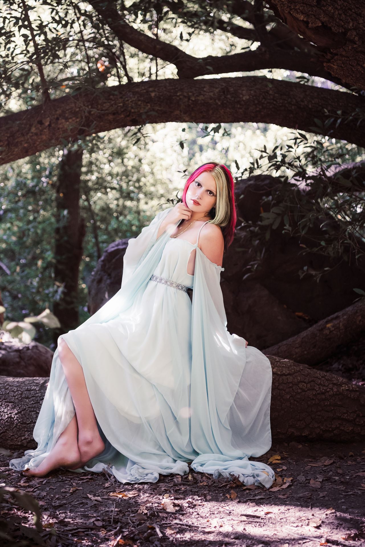 Final 2-.jpg  by Sarah Williams