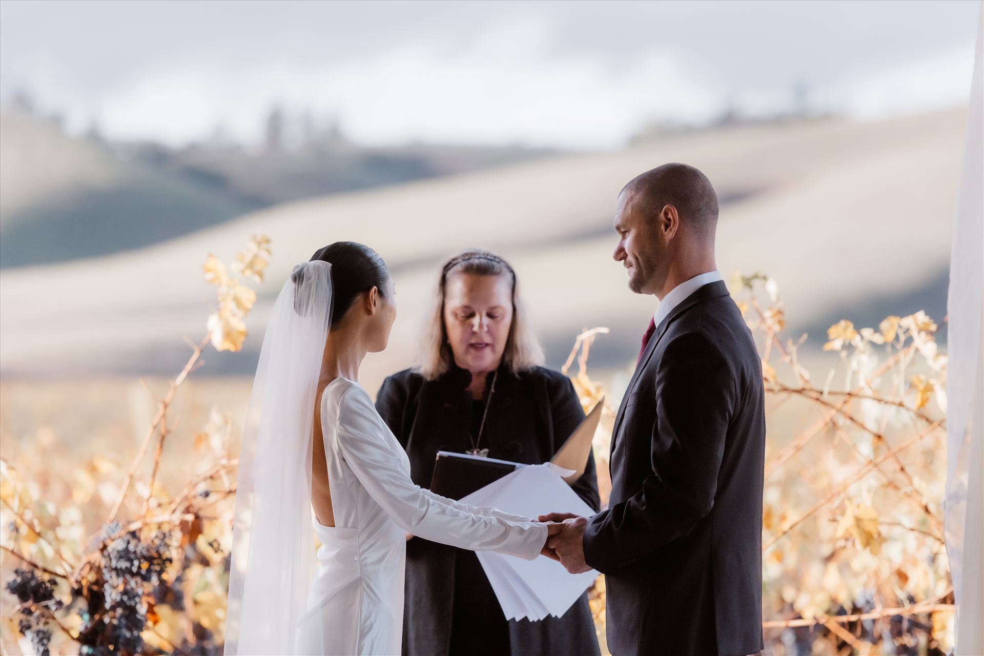 Final-2517.jpg  by Sarah Williams