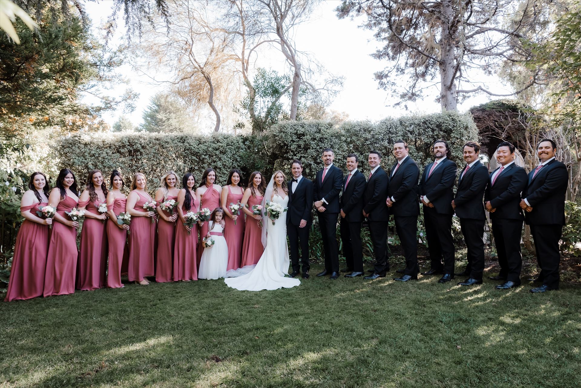 Final-8273.jpg  by Sarah Williams