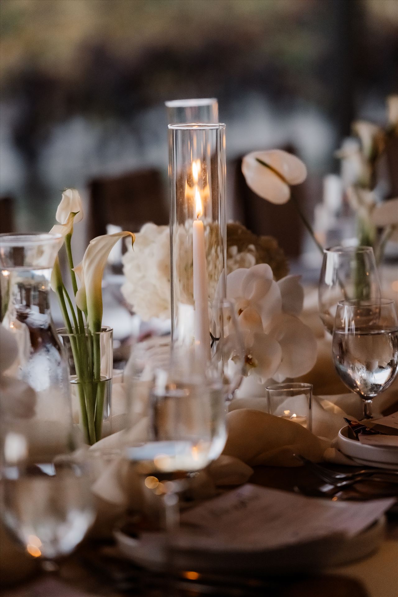 Final-2774.jpg  by Sarah Williams