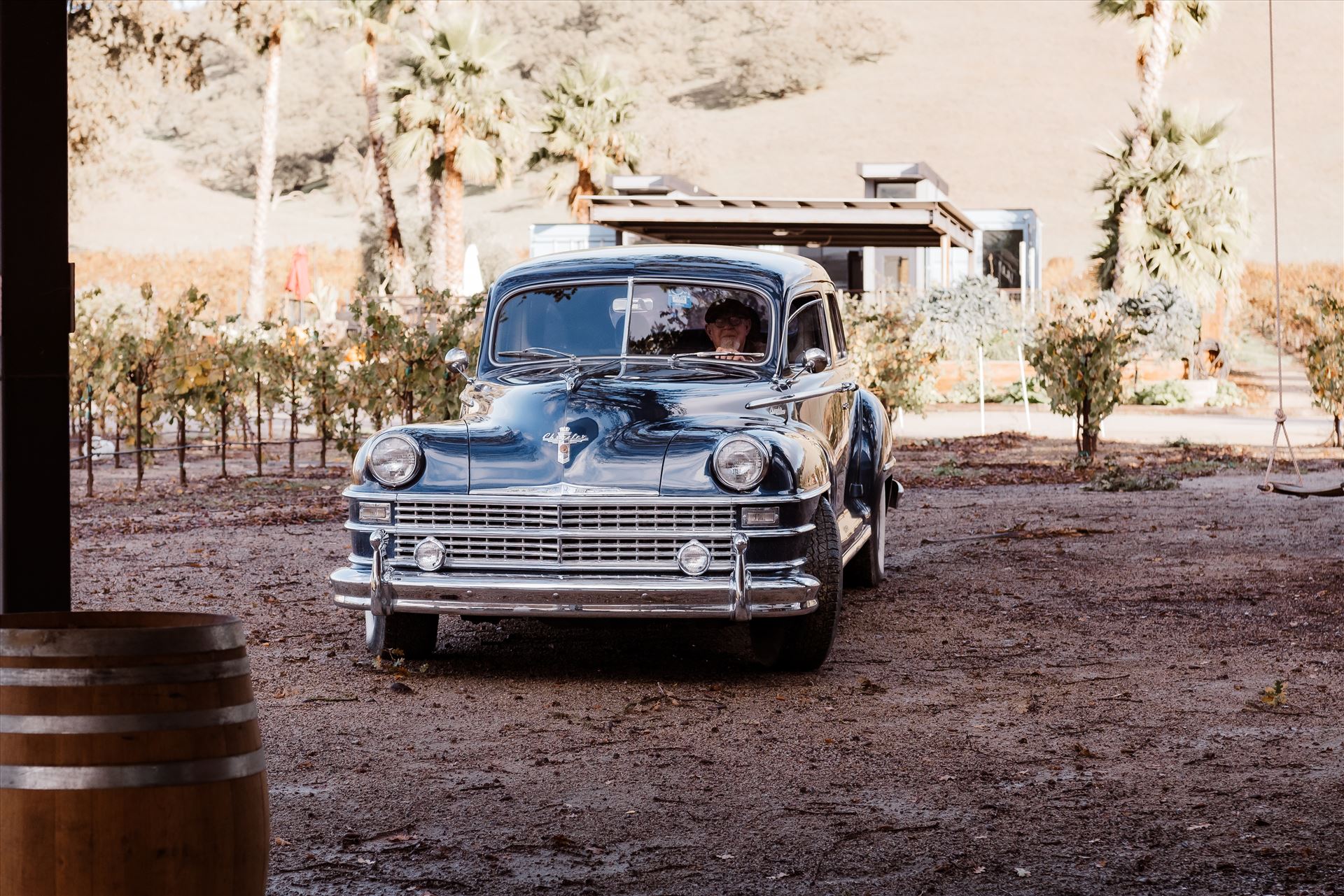 Final-9092.jpg  by Sarah Williams