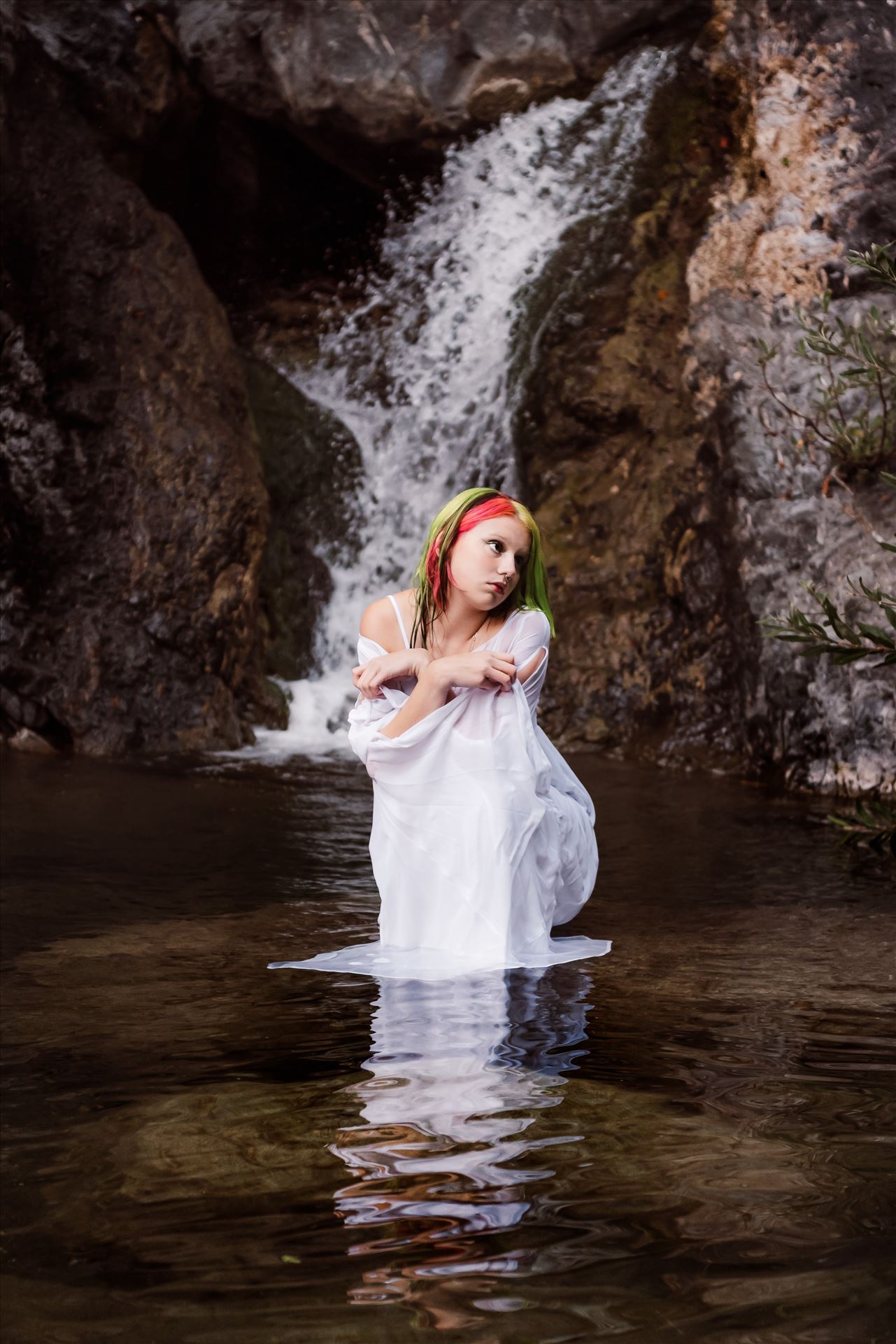 Final--2.jpg  by Sarah Williams