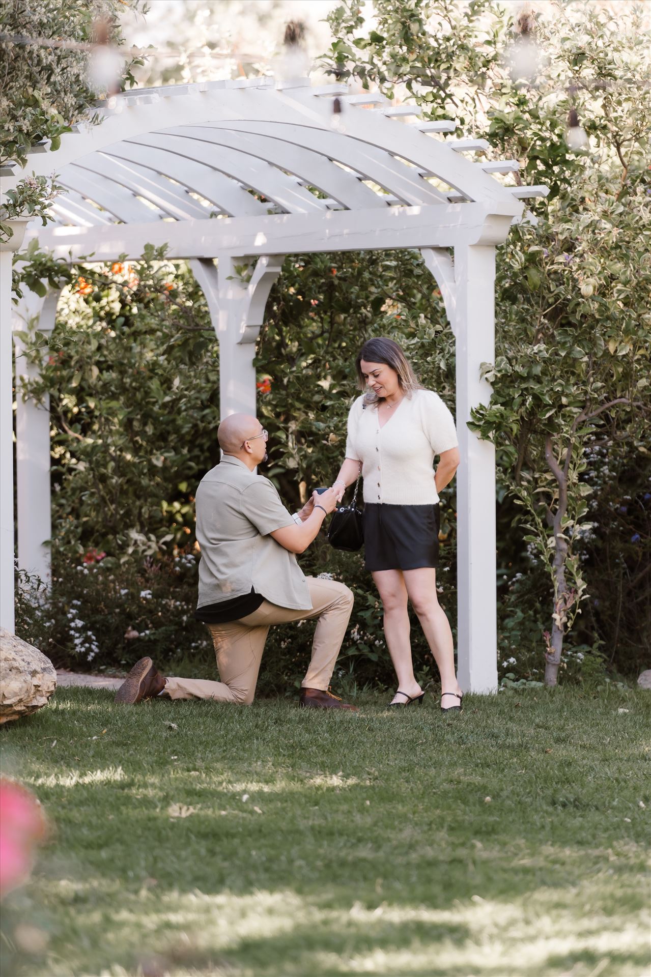 Final-5159.jpg  by Sarah Williams