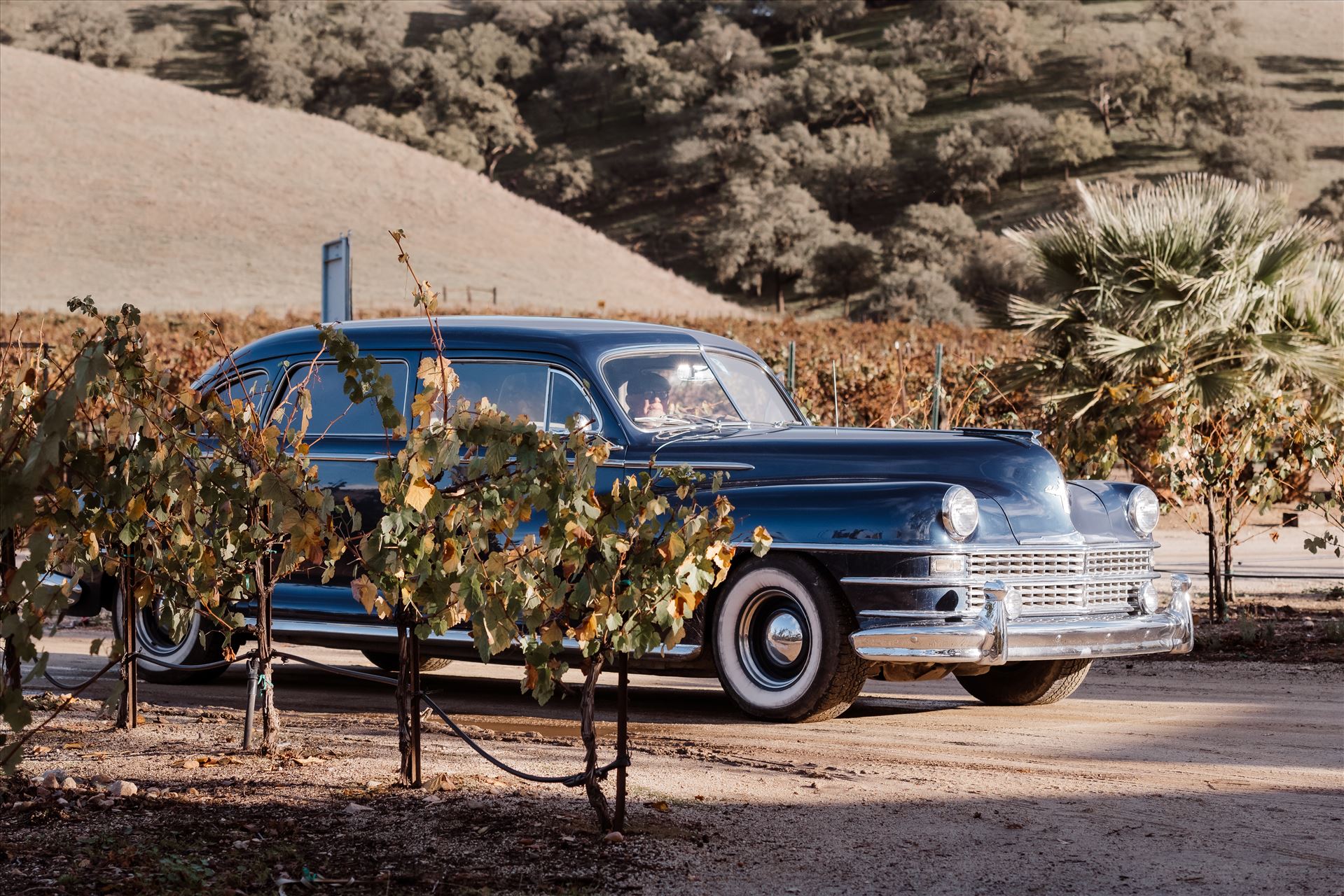 Final-2360.jpg  by Sarah Williams