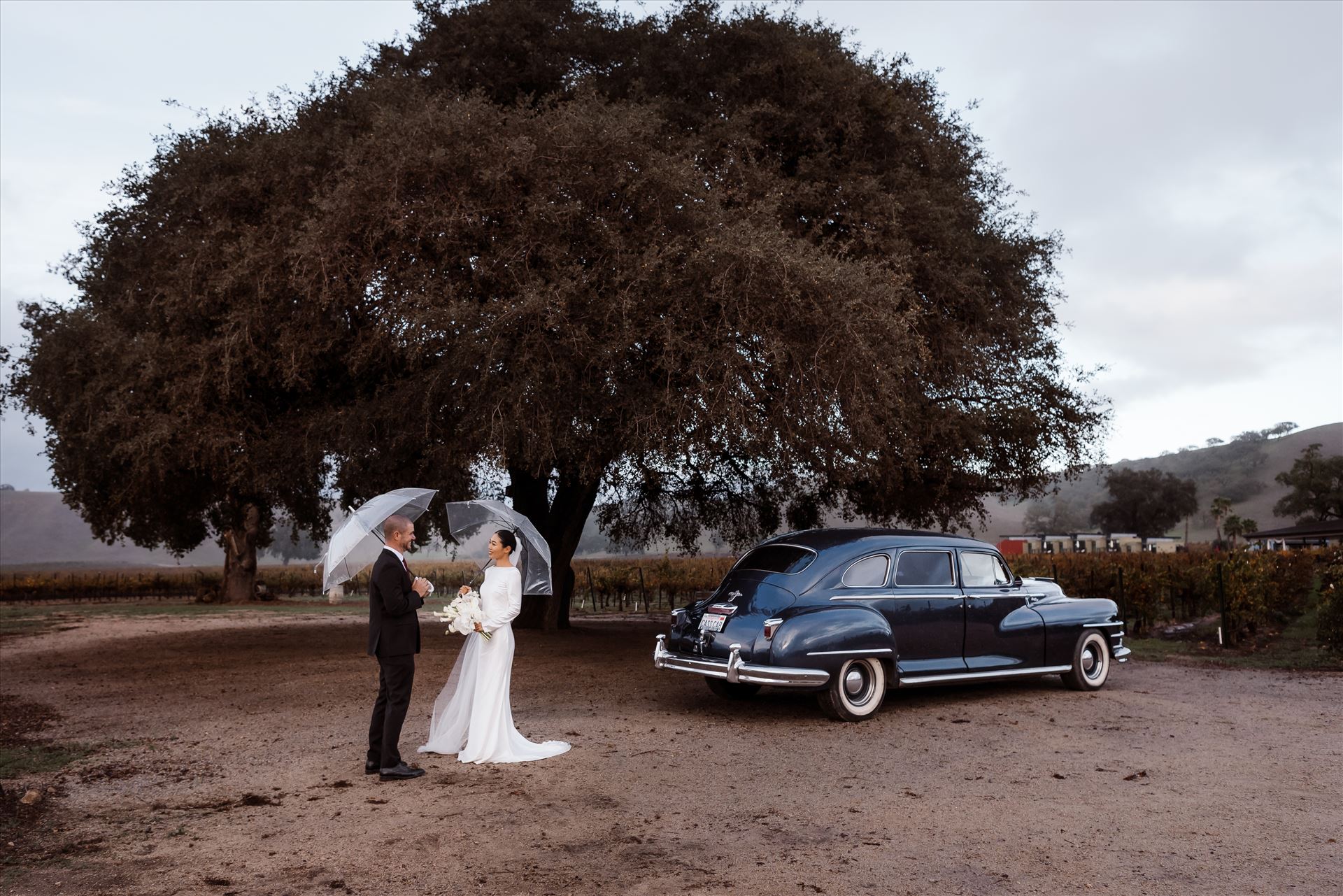 BG Final-.jpg  by Sarah Williams