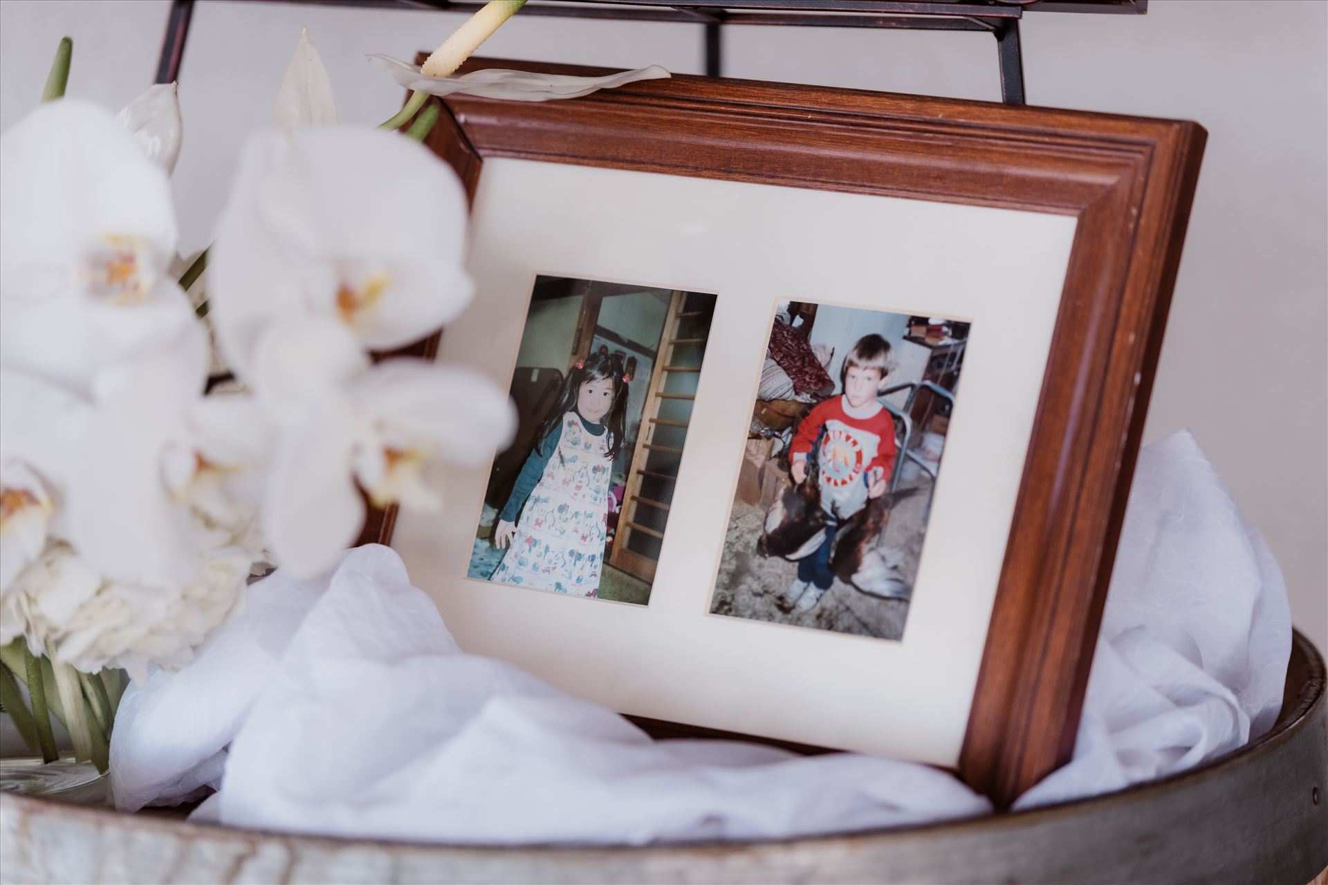 Final-2344.jpg  by Sarah Williams