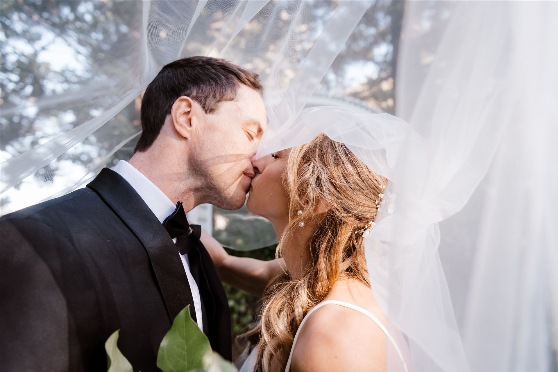 Final BG-8435.jpg  by Sarah Williams