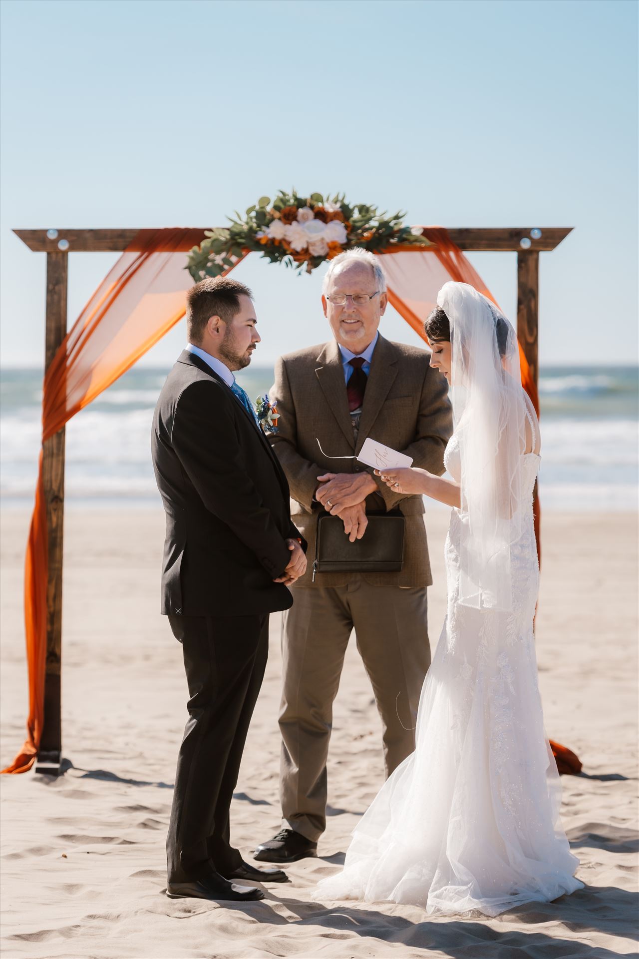 Final-4252.jpg  by Sarah Williams