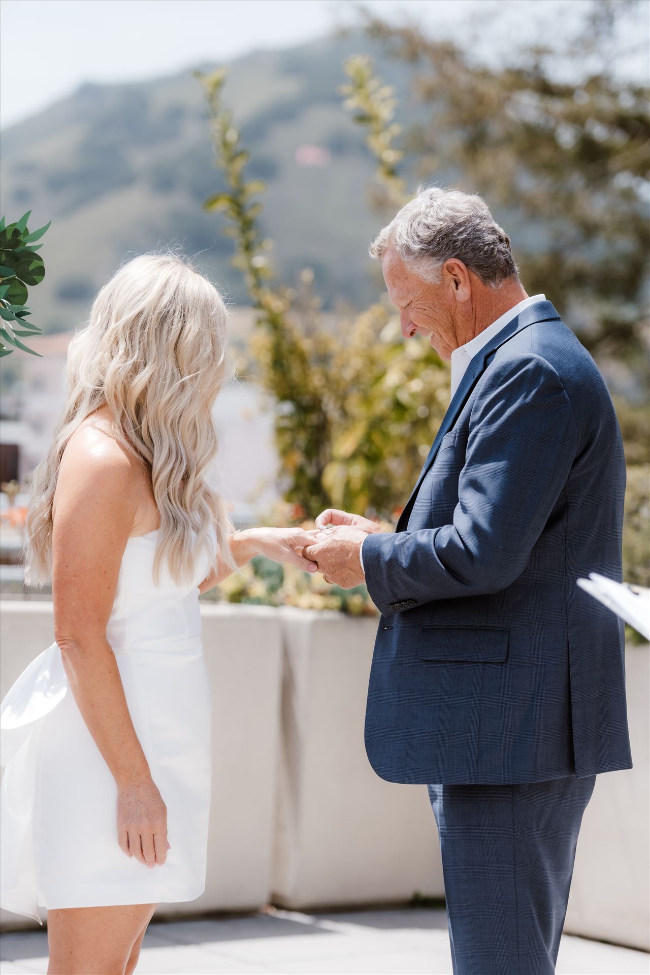 Final-7831.jpg  by Sarah Williams