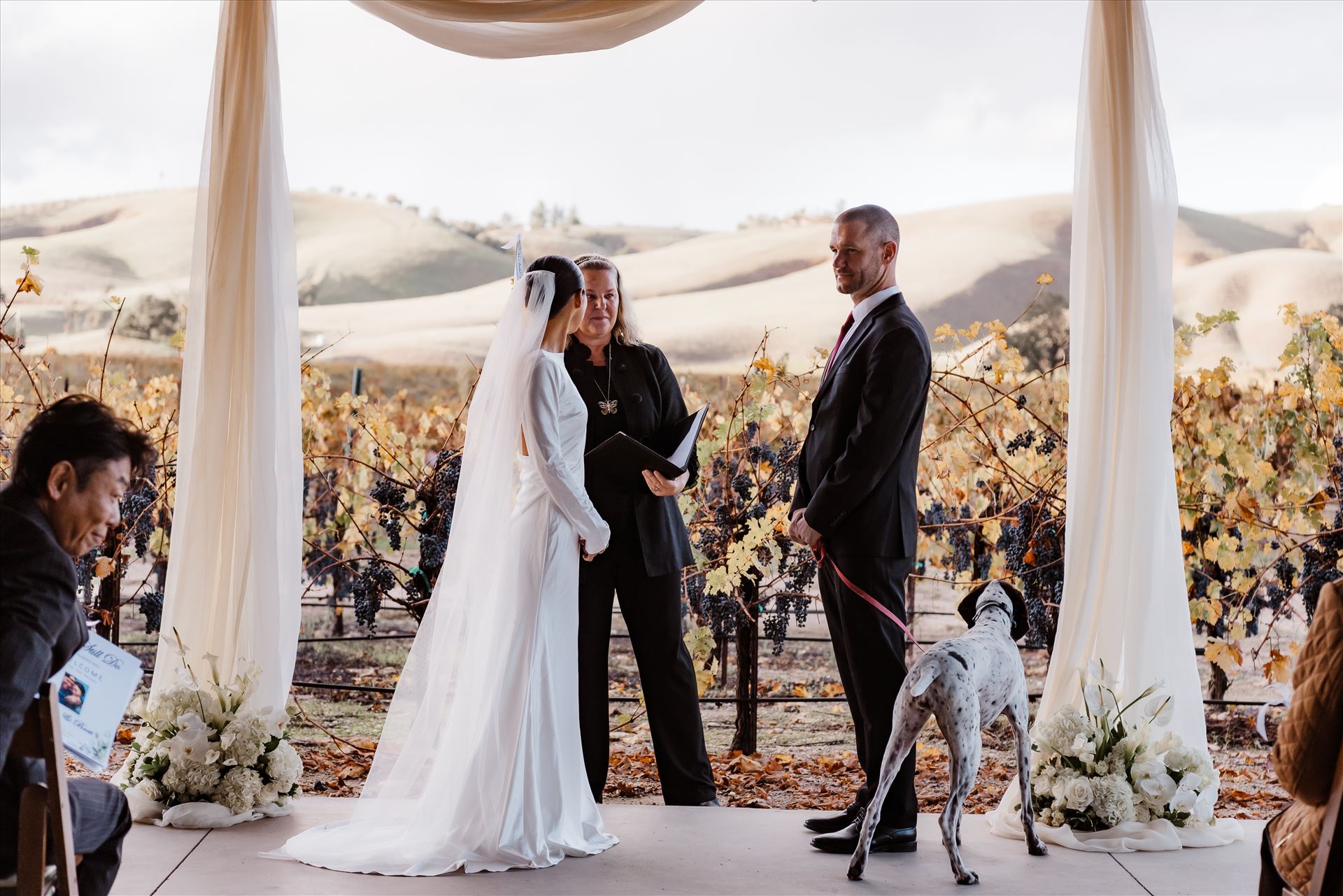 Final-9098.jpg  by Sarah Williams