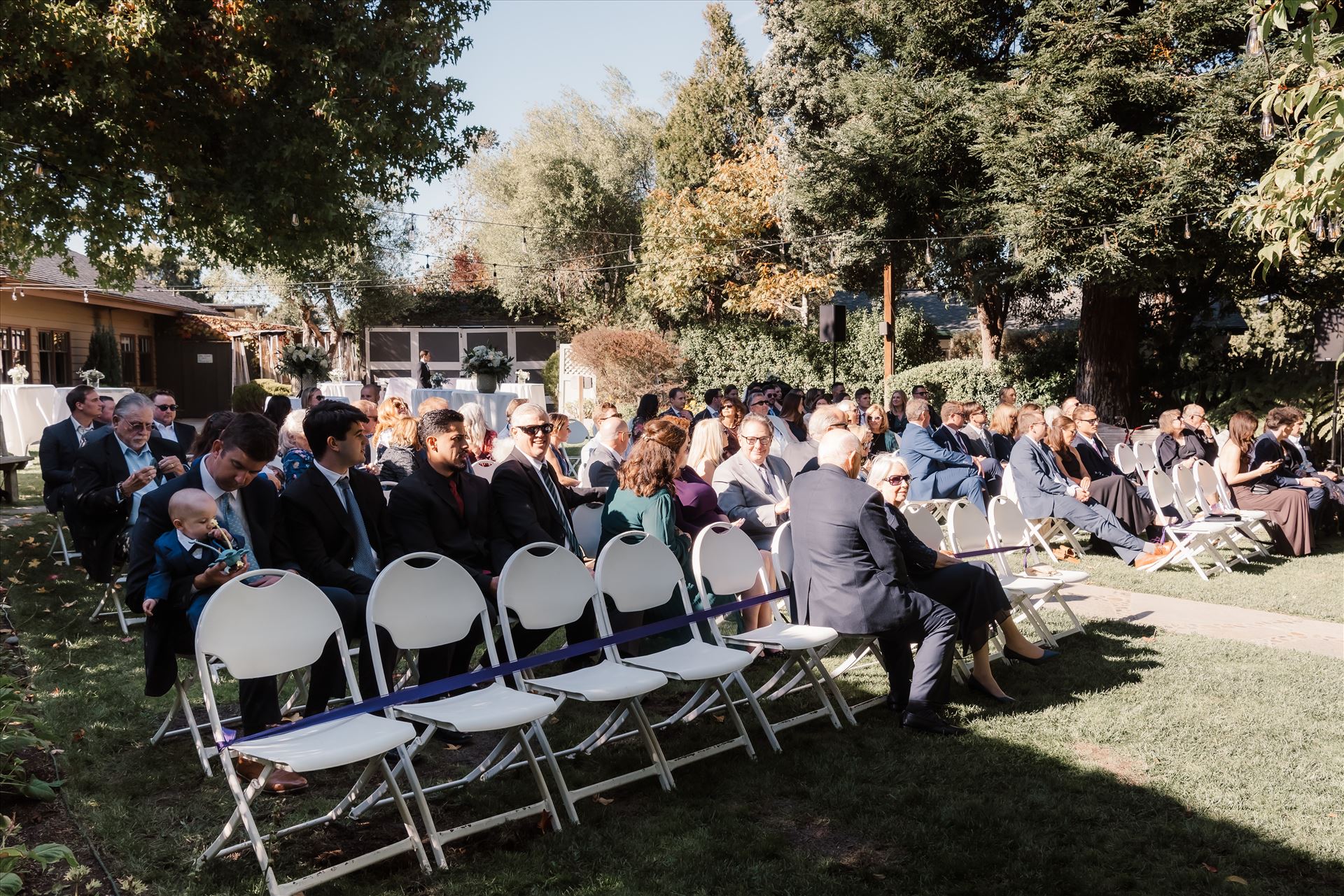 Final-8153.jpg  by Sarah Williams