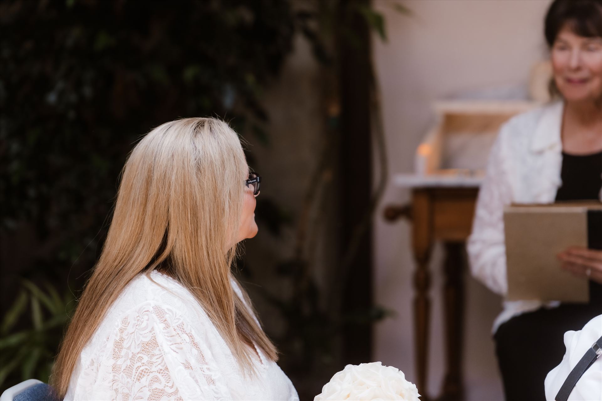 Final-8568.jpg  by Sarah Williams