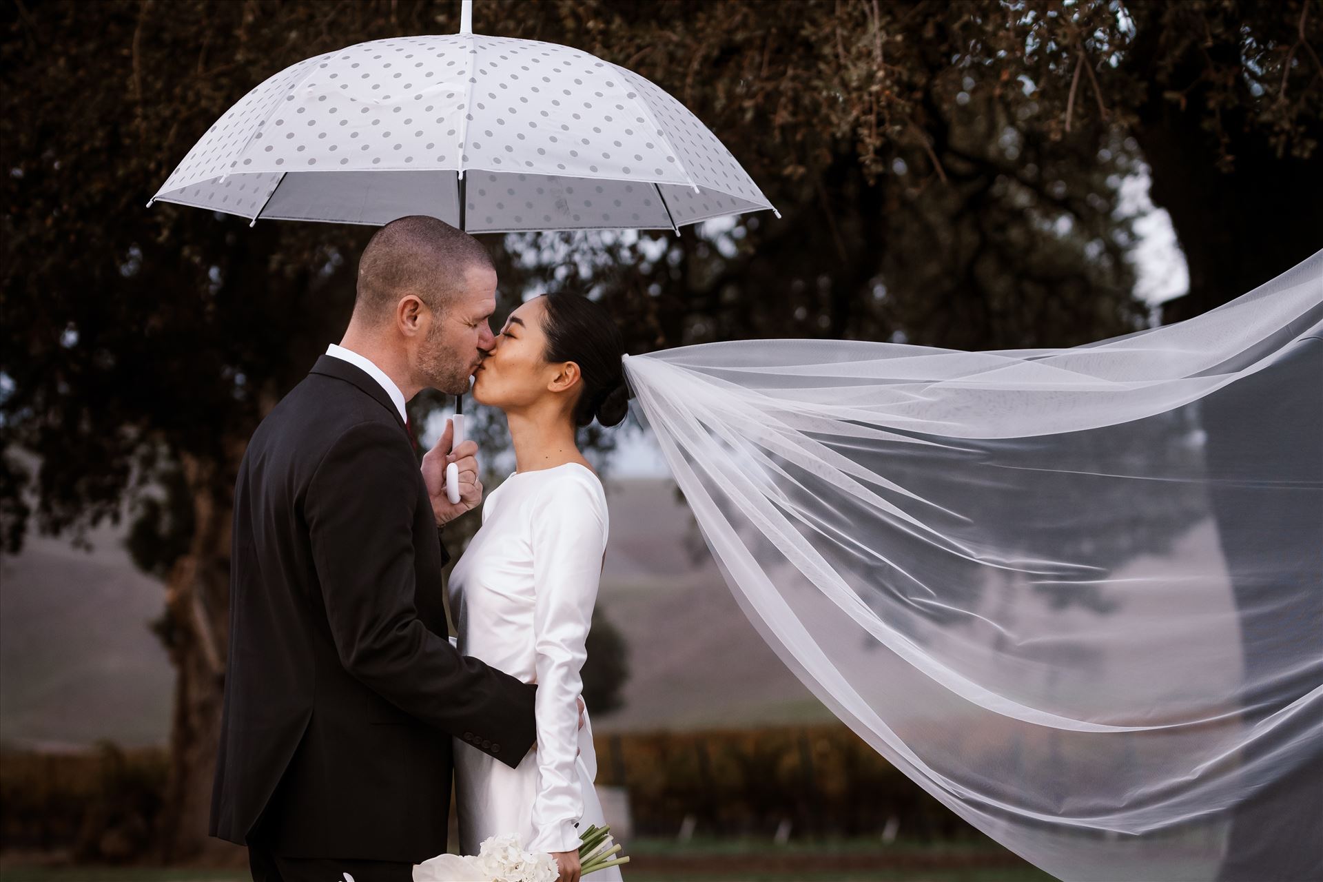 BG Final--19.jpg  by Sarah Williams