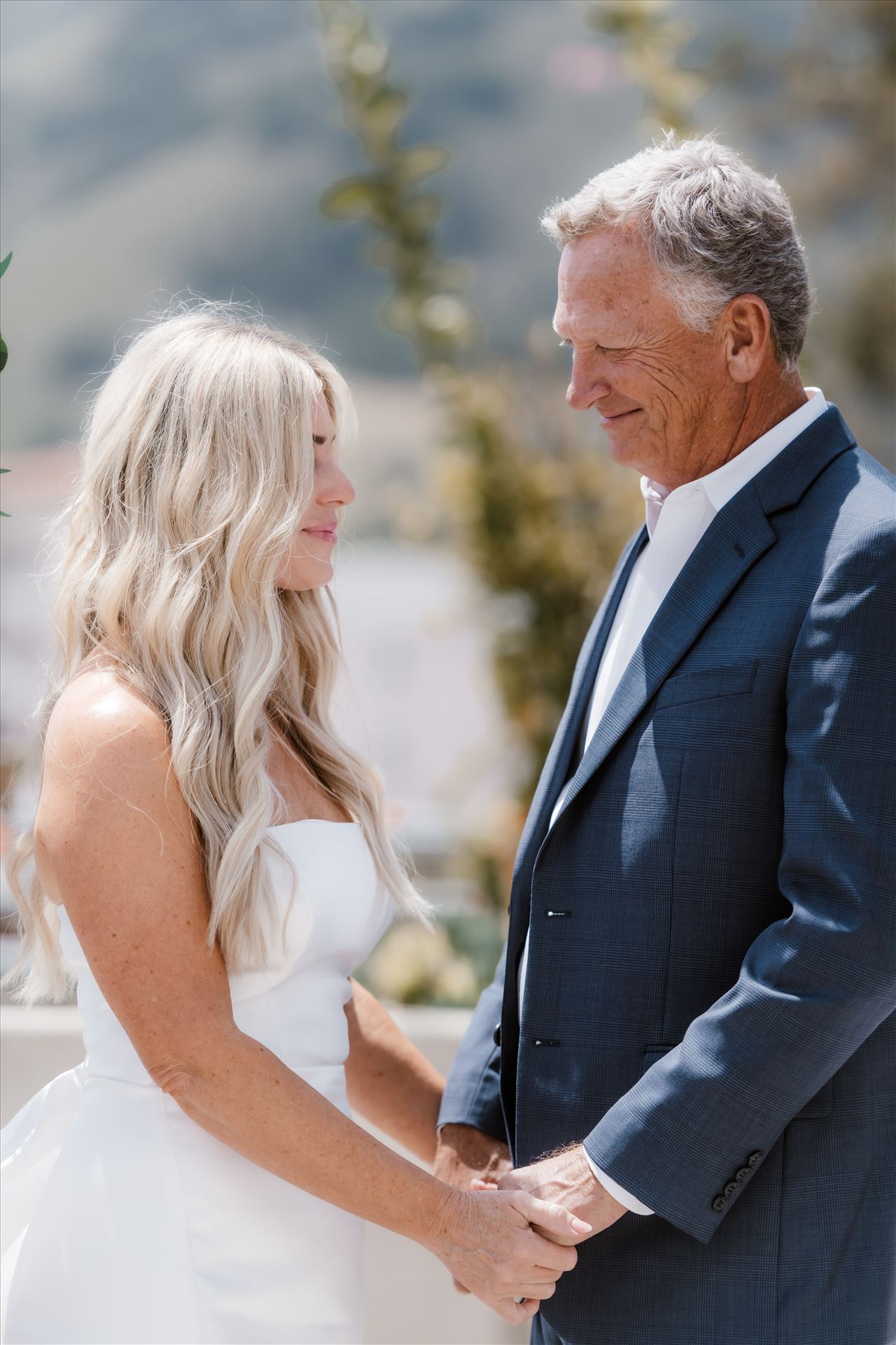 Final-7820.jpg  by Sarah Williams