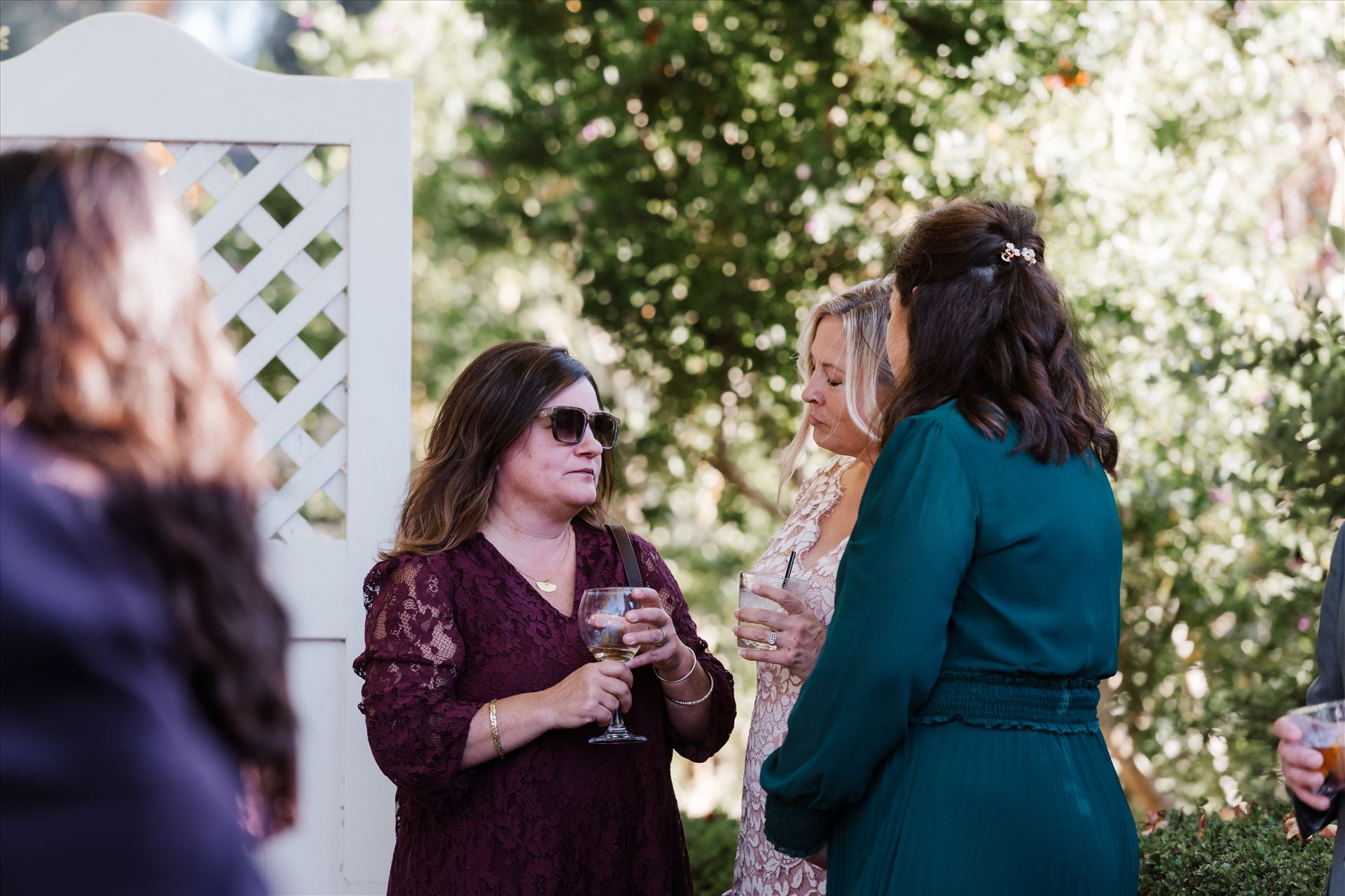 Final-0565.jpg  by Sarah Williams