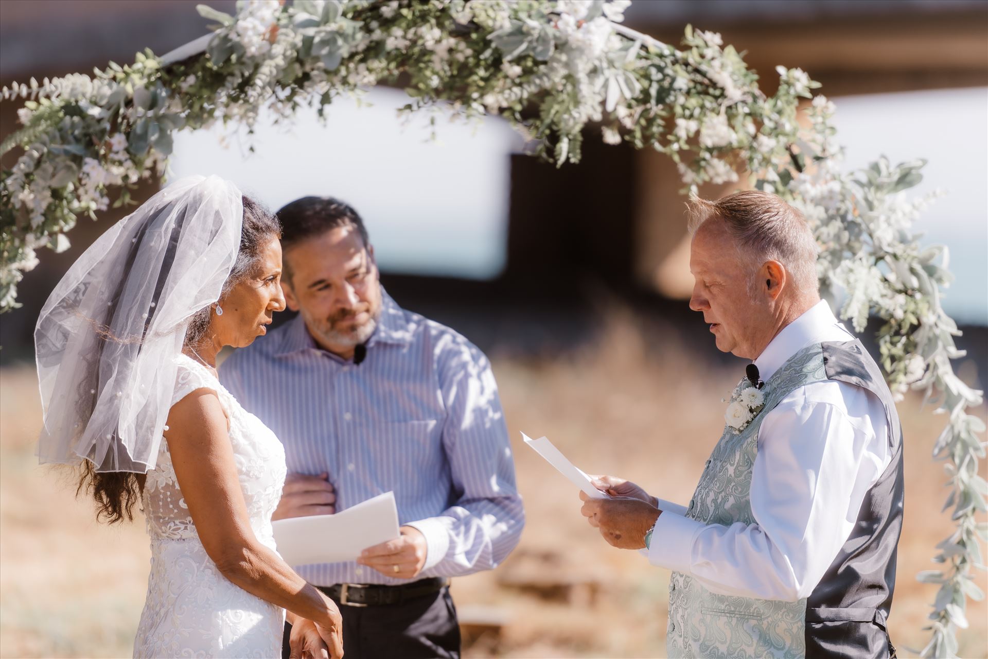 Final-5146.jpg  by Sarah Williams