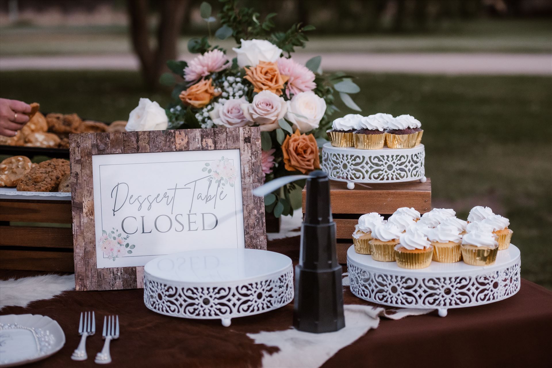 Final-1642.jpg  by Sarah Williams