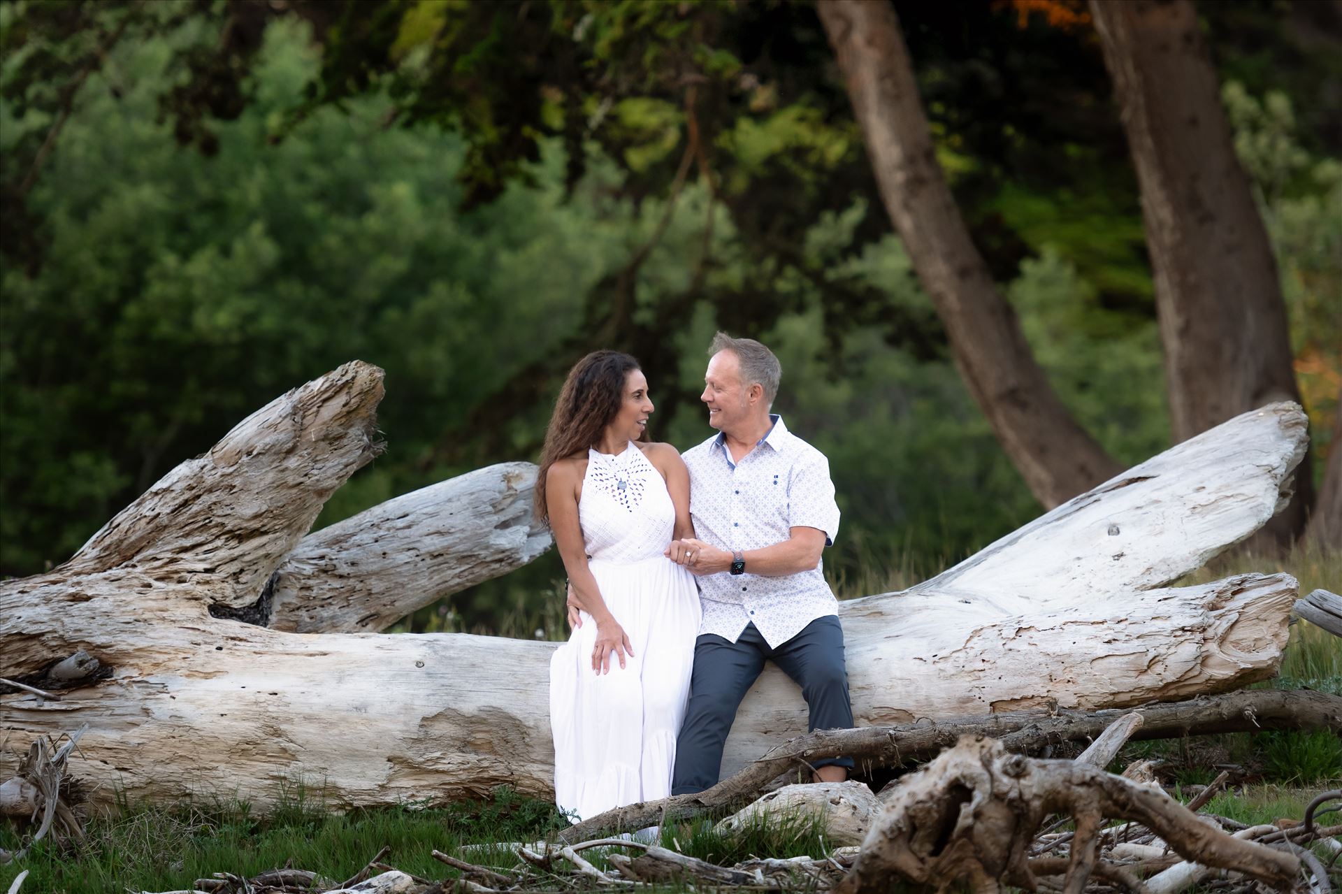 Final--5.jpg  by Sarah Williams