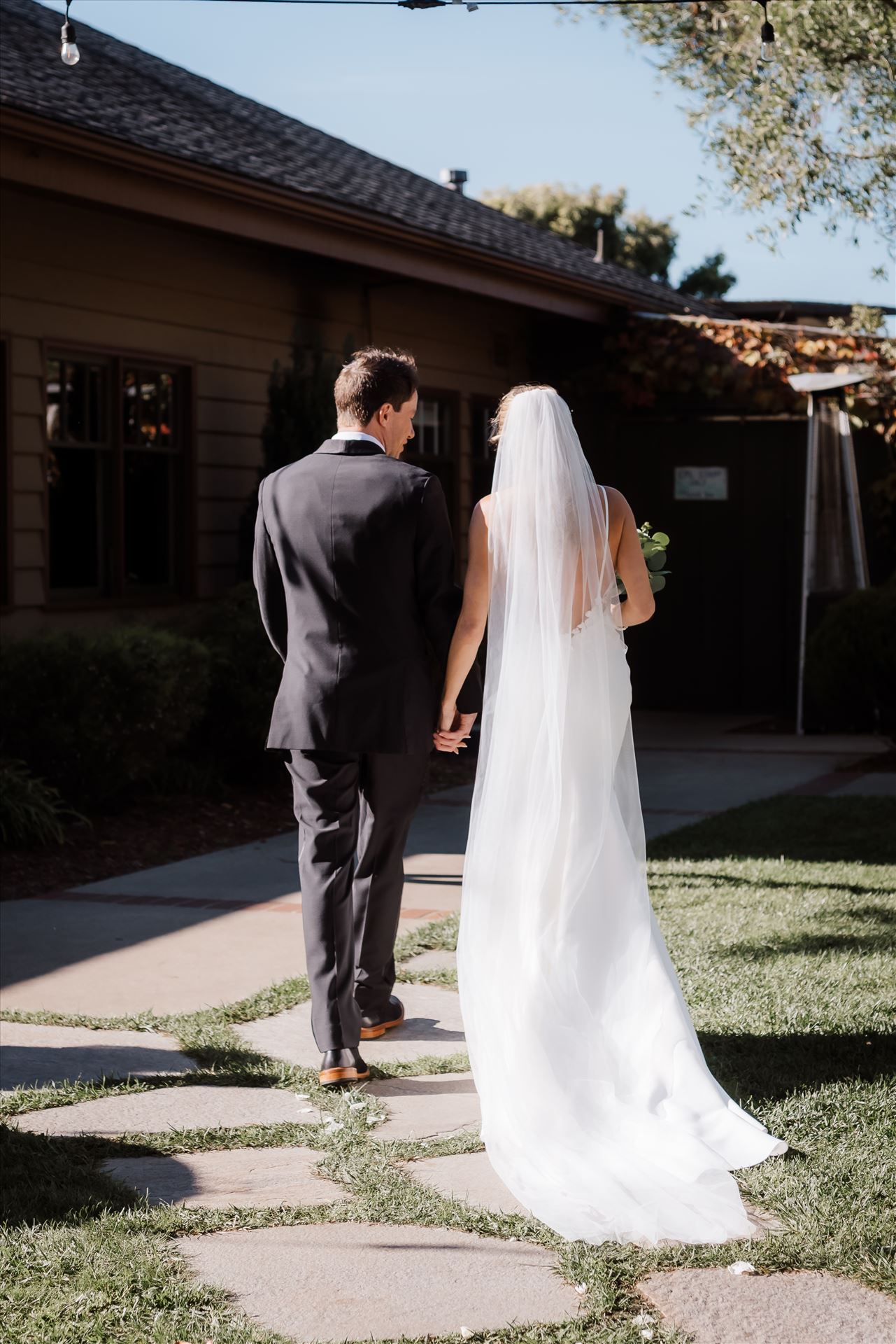 Final-8241.jpg  by Sarah Williams