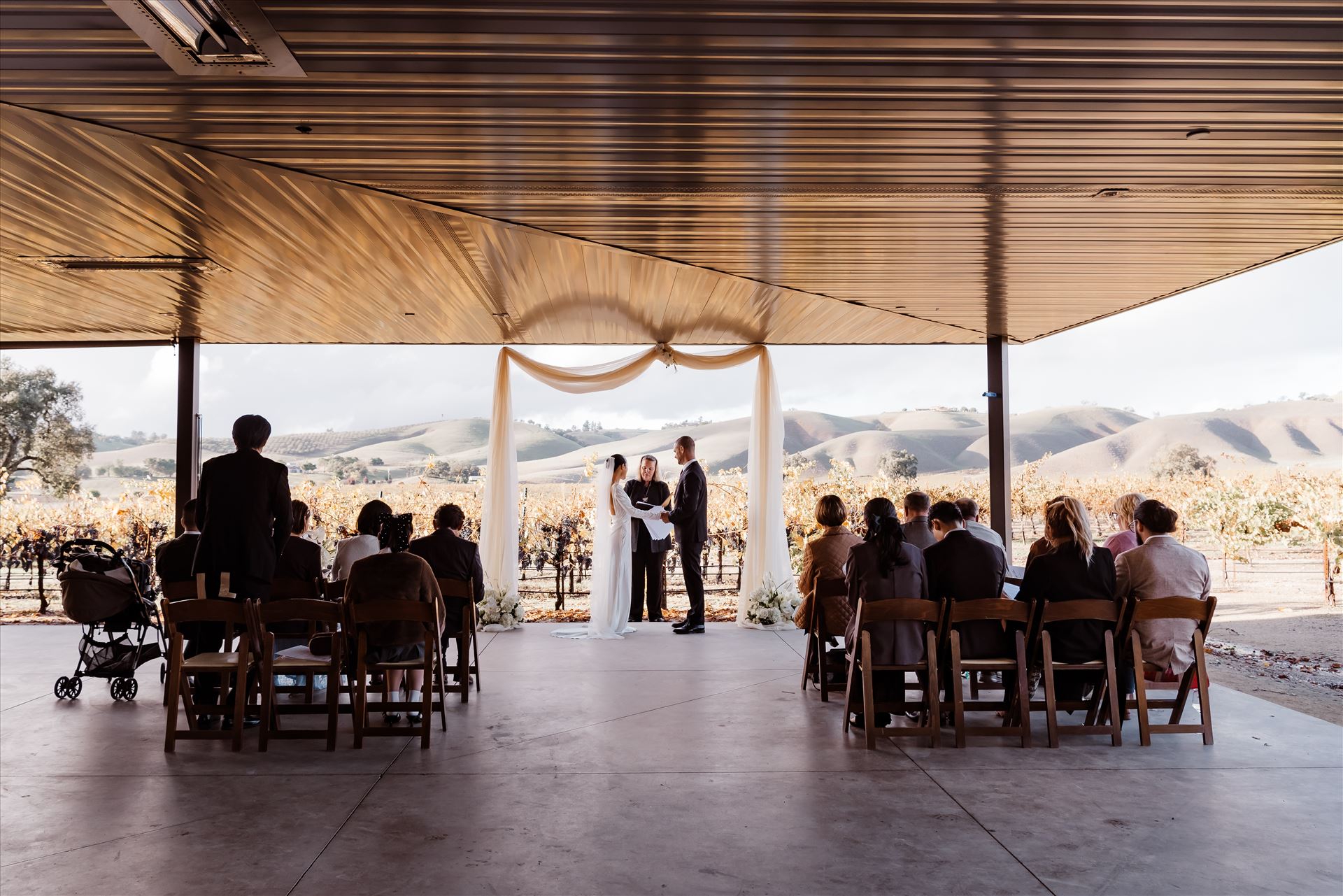 Final-9125.jpg  by Sarah Williams