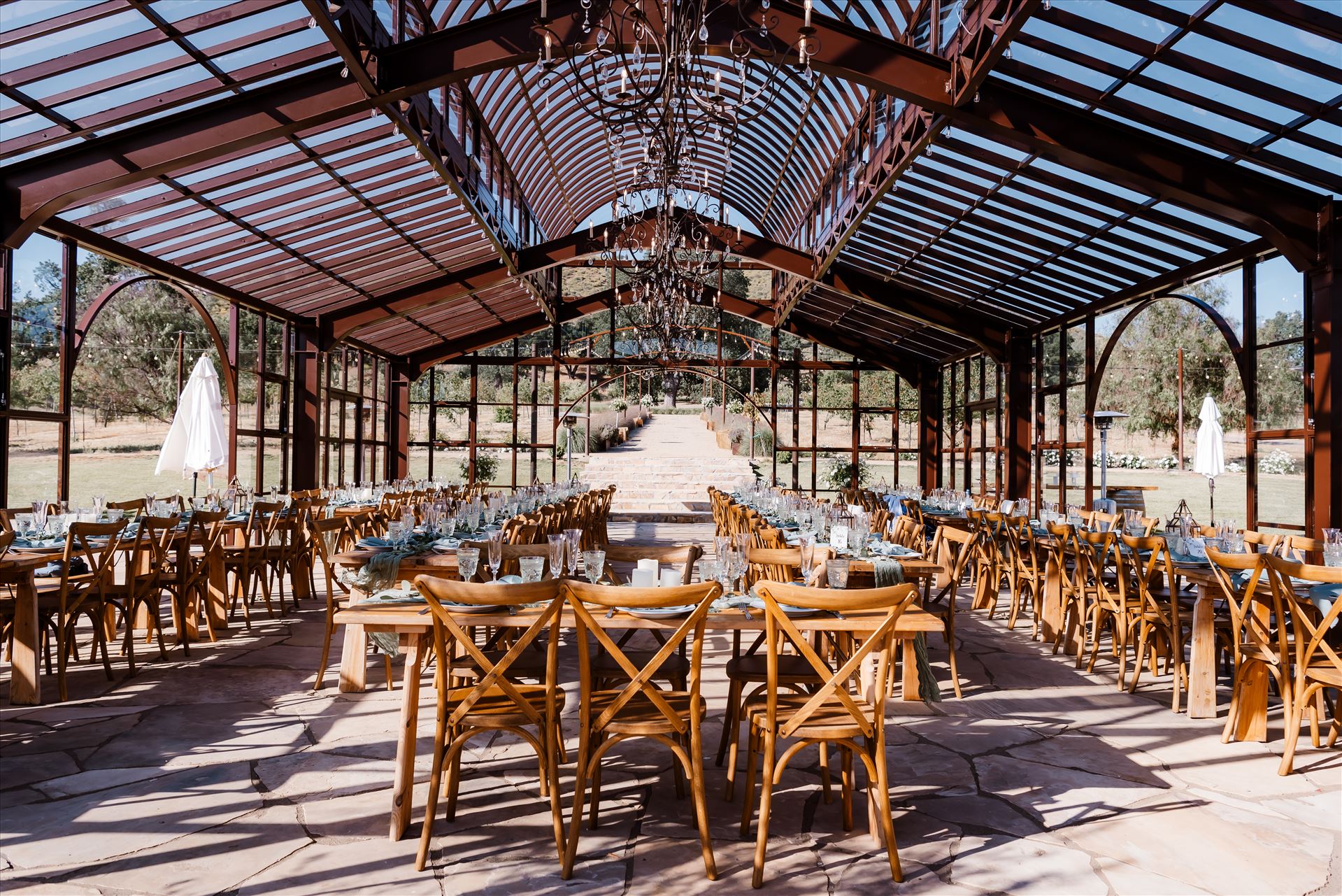 Final-1402.jpg  by Sarah Williams