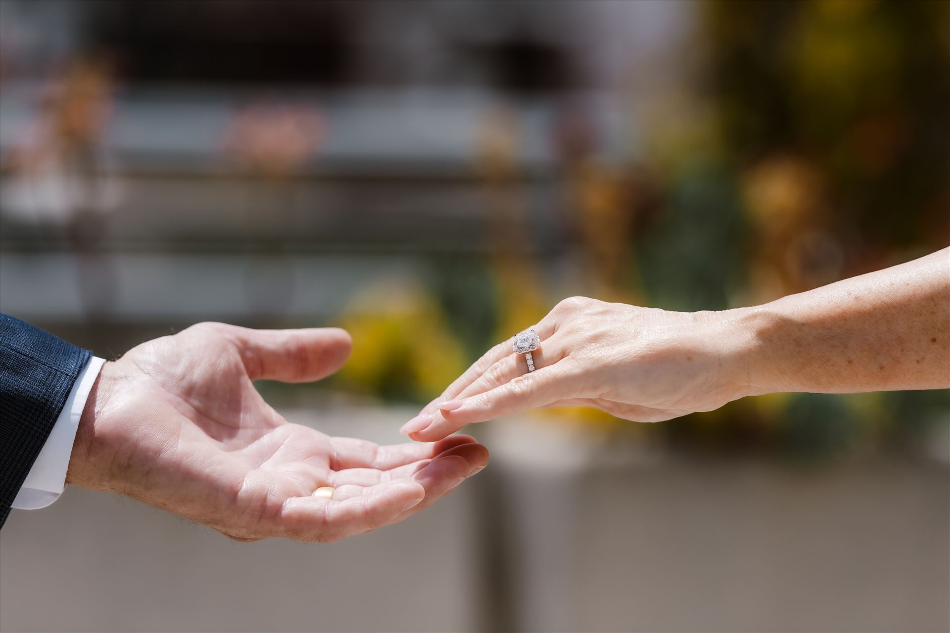 Final-7887.jpg  by Sarah Williams