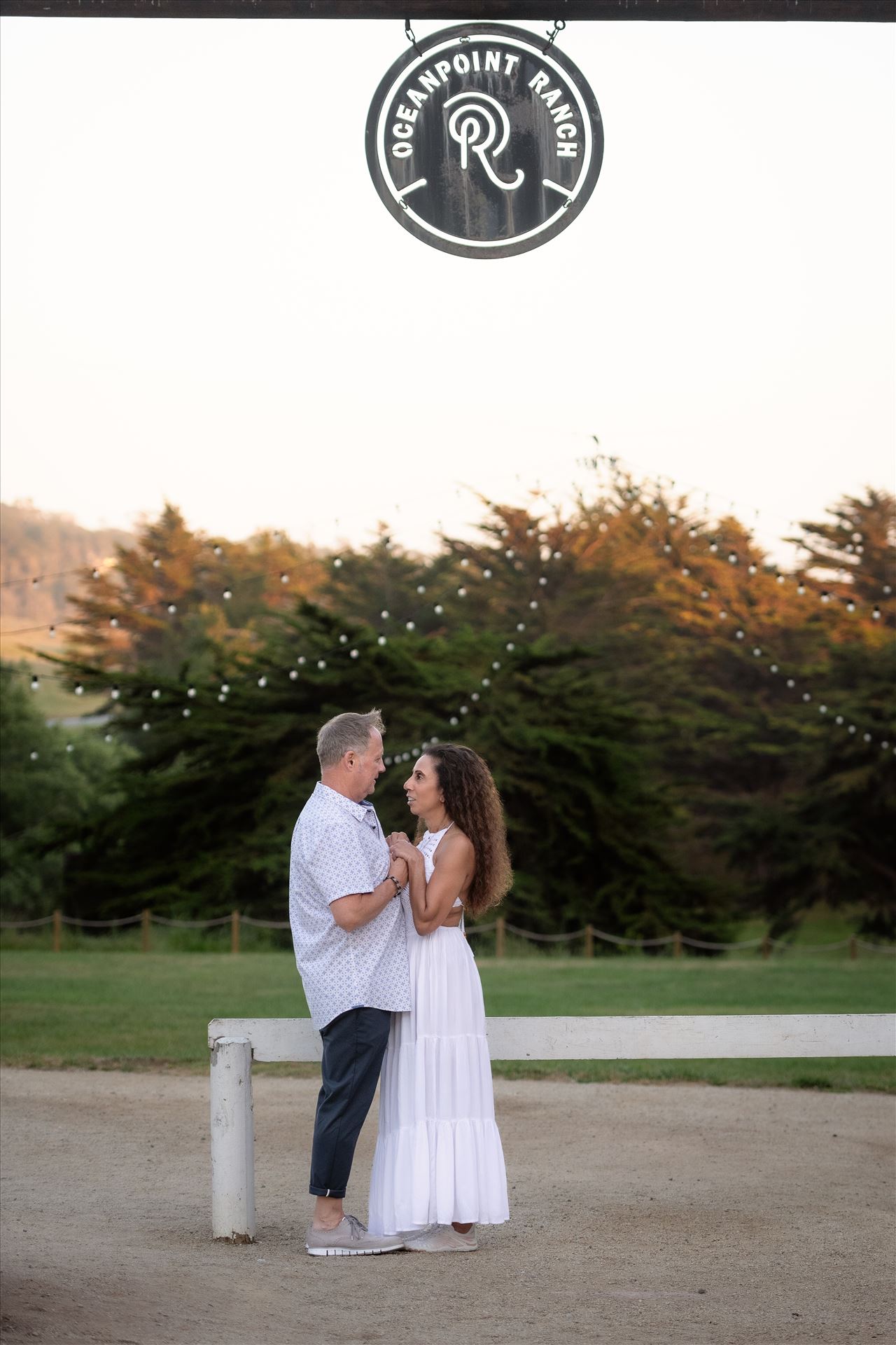 Final--2.jpg  by Sarah Williams