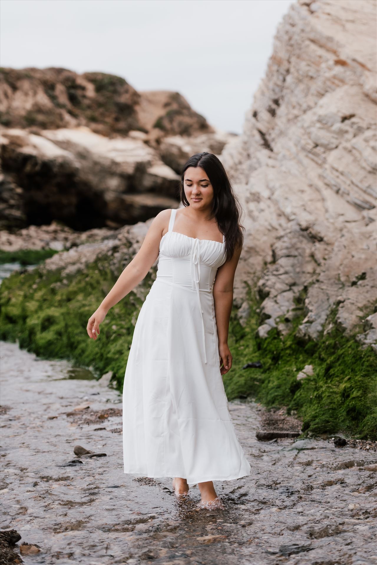 Final--18.jpg  by Sarah Williams