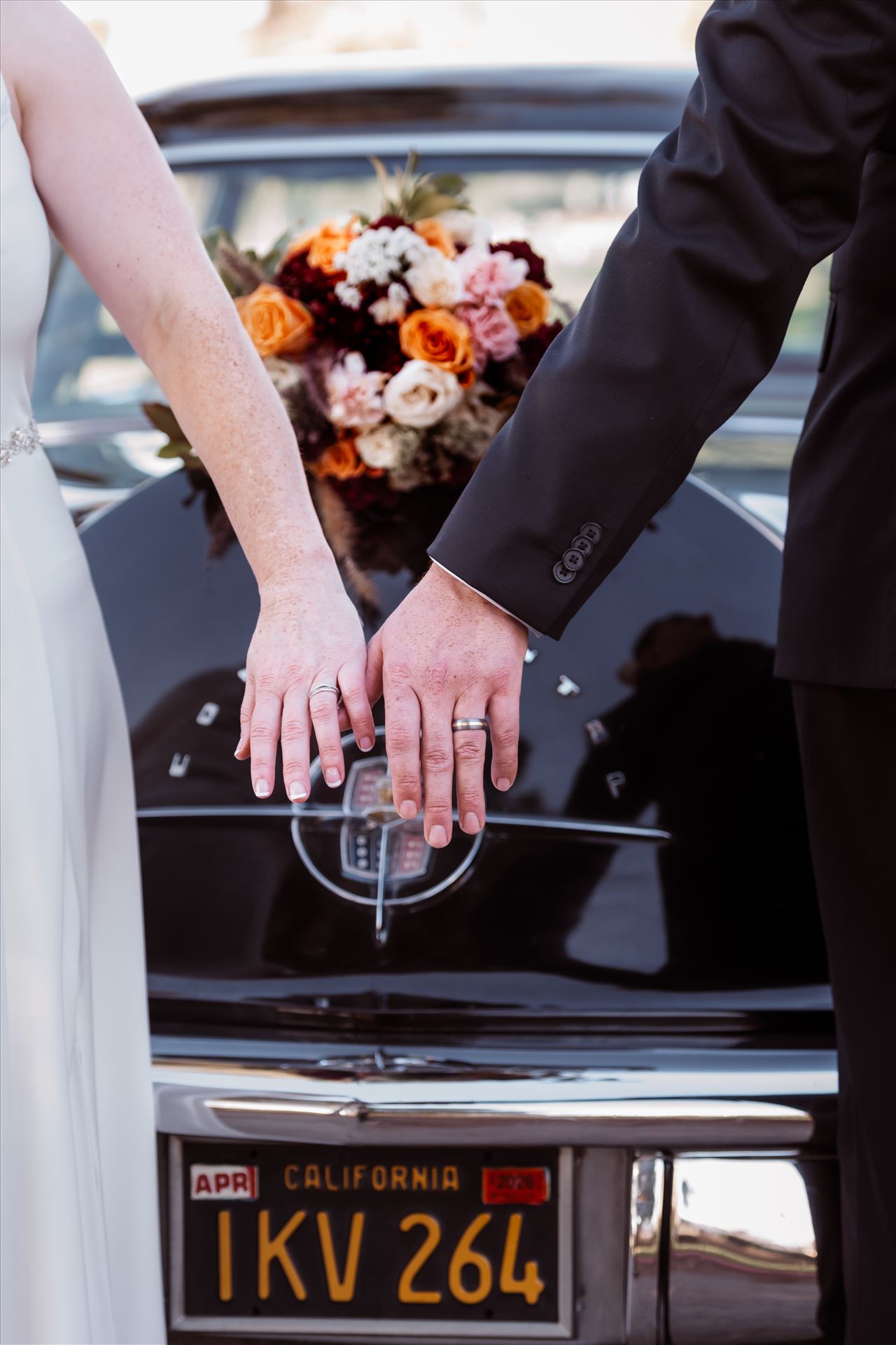 BG Final--10.jpg  by Sarah Williams