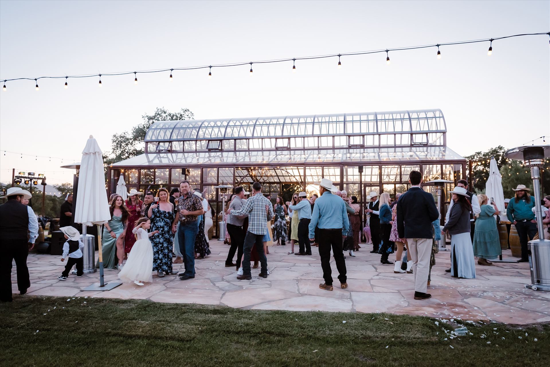 Final-1655.jpg  by Sarah Williams