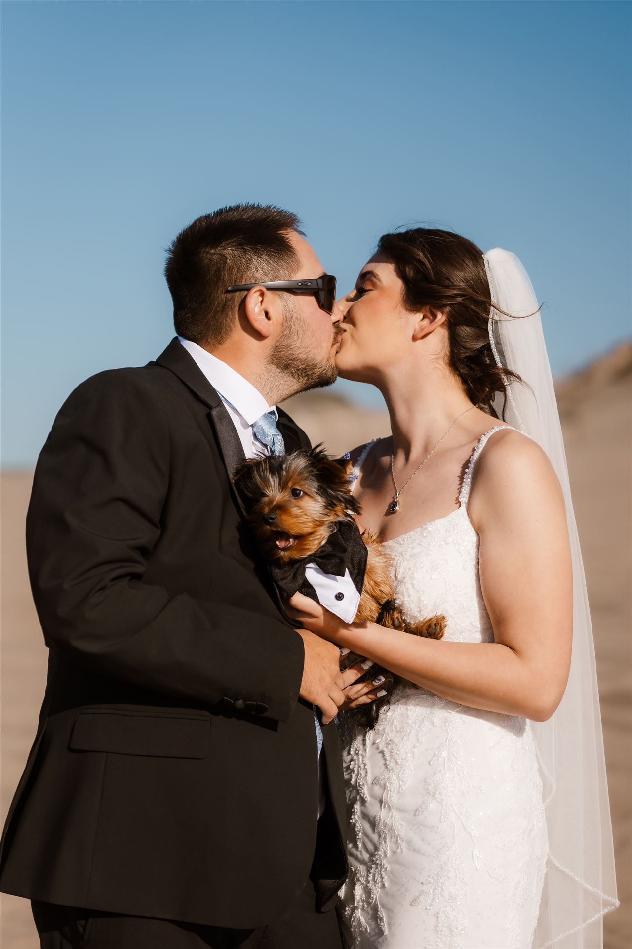 Final-4626.jpg  by Sarah Williams