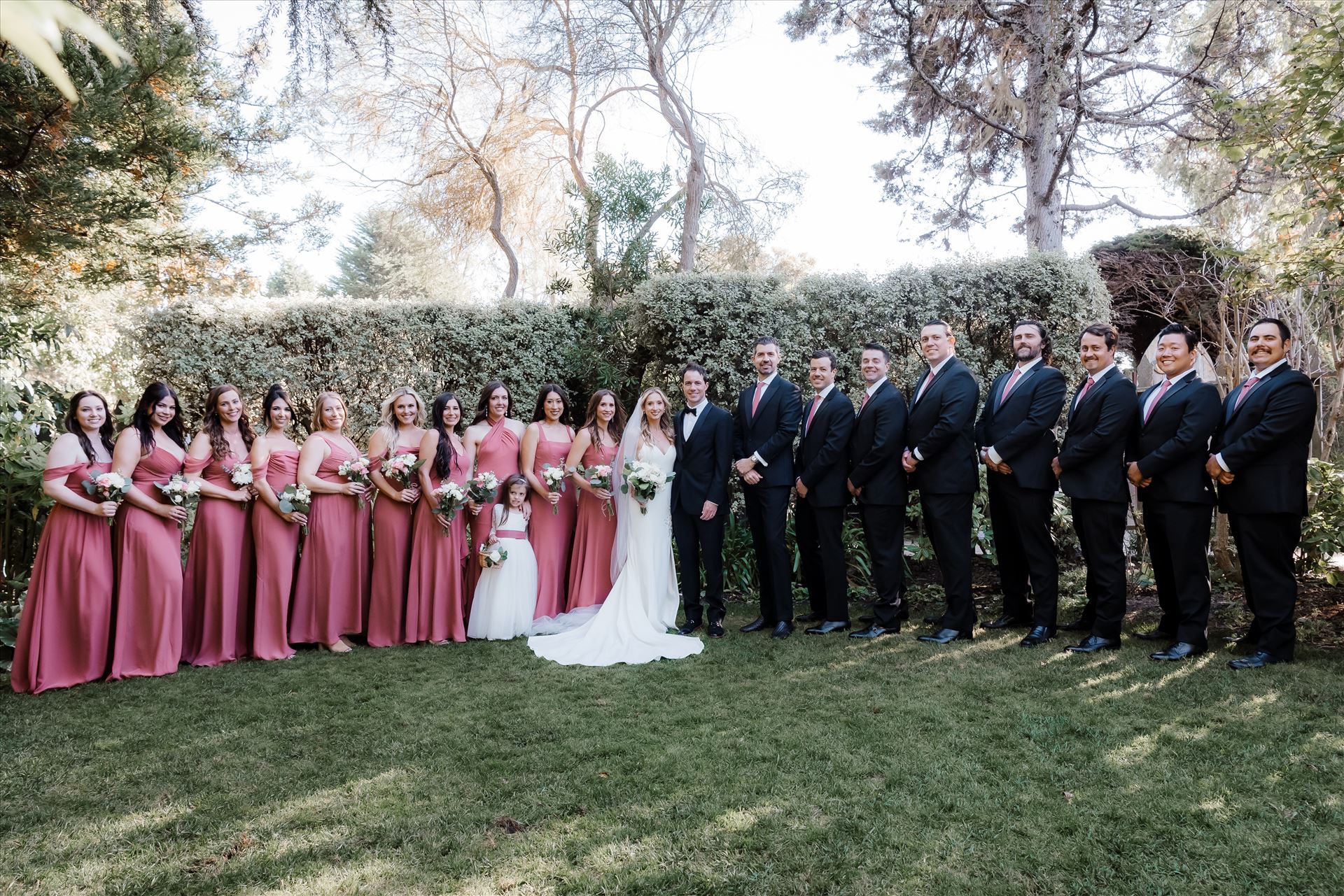 Final-8270.jpg  by Sarah Williams