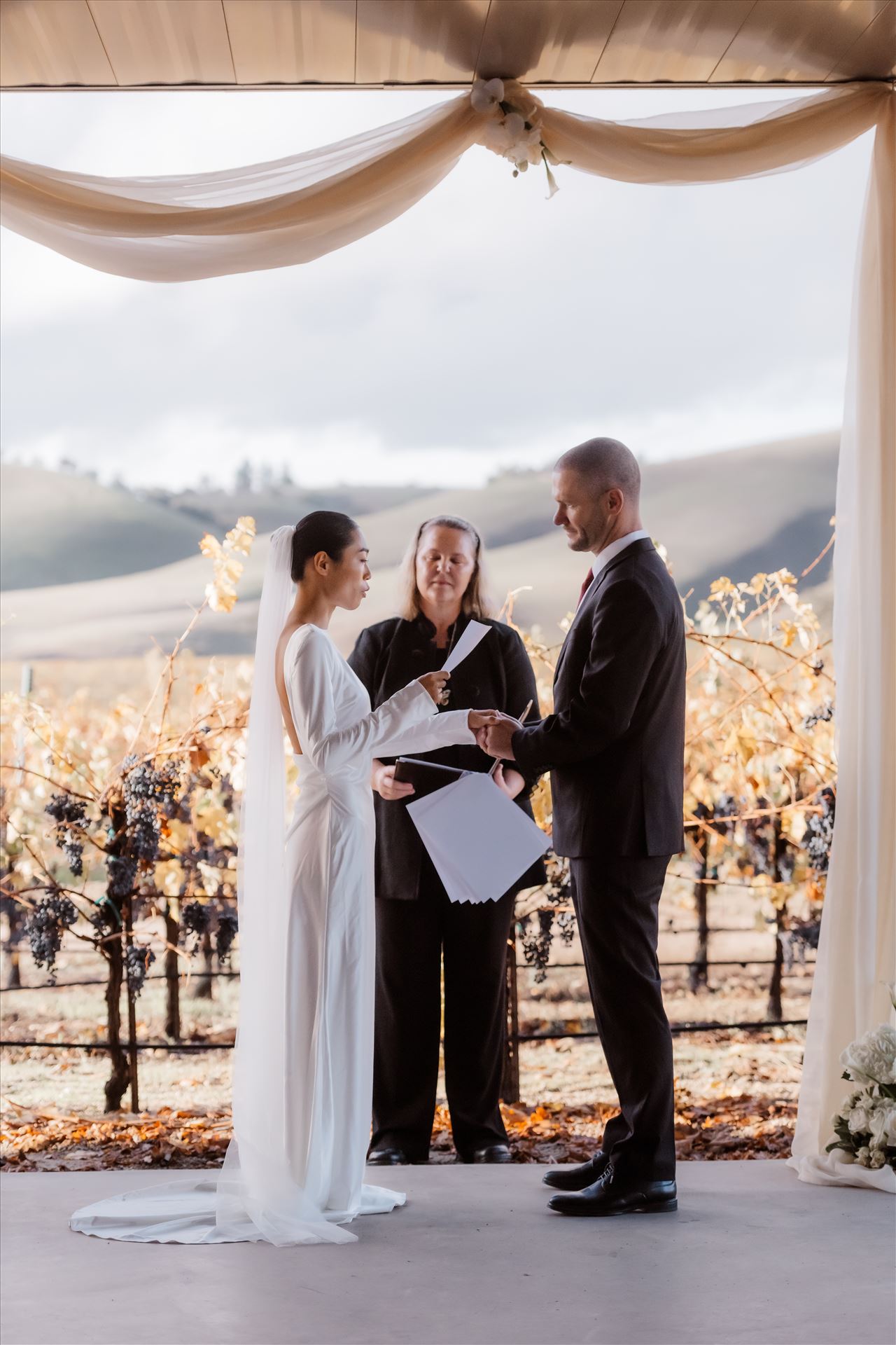 Final-2514.jpg  by Sarah Williams