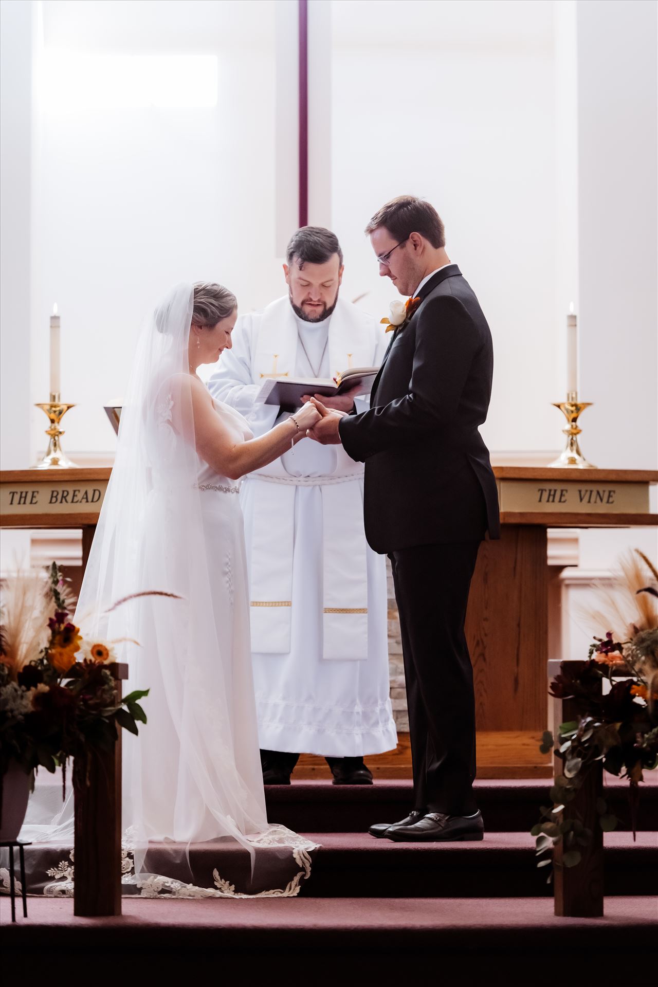 Final-1554.jpg  by Sarah Williams