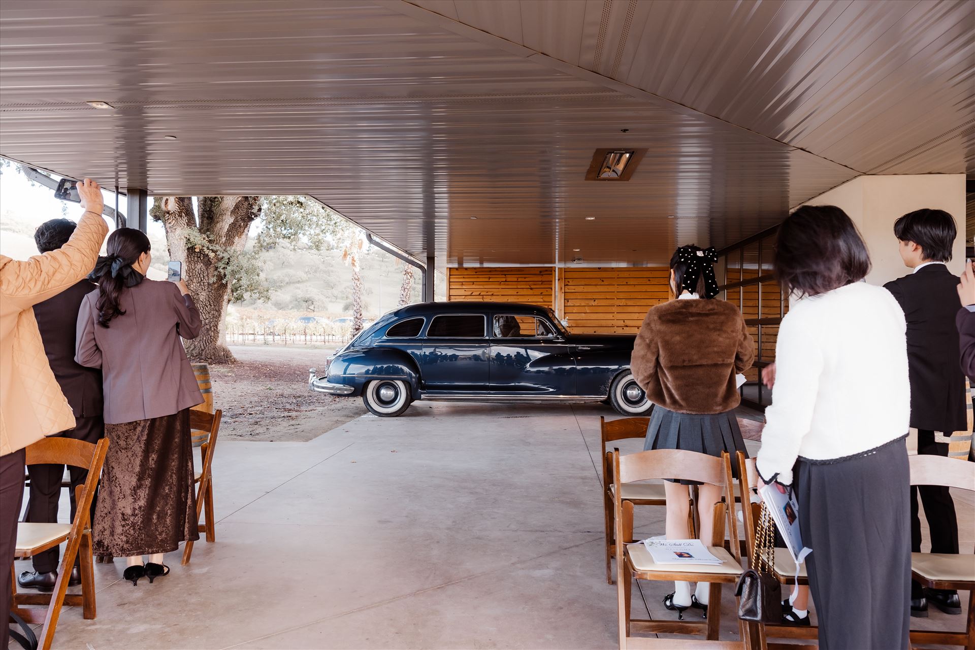 Final-9096.jpg  by Sarah Williams