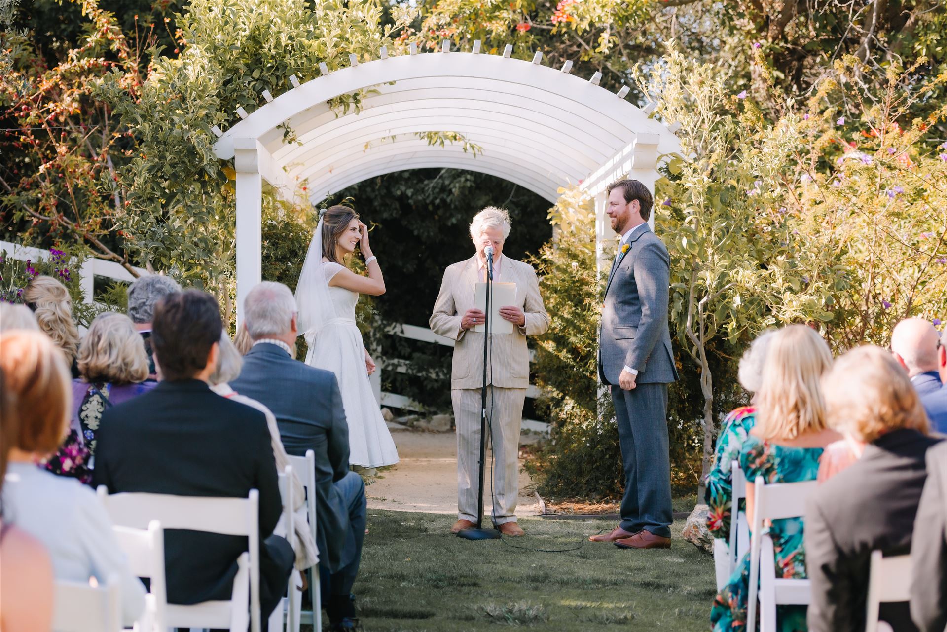 DSC_3795.JPG  by Sarah Williams