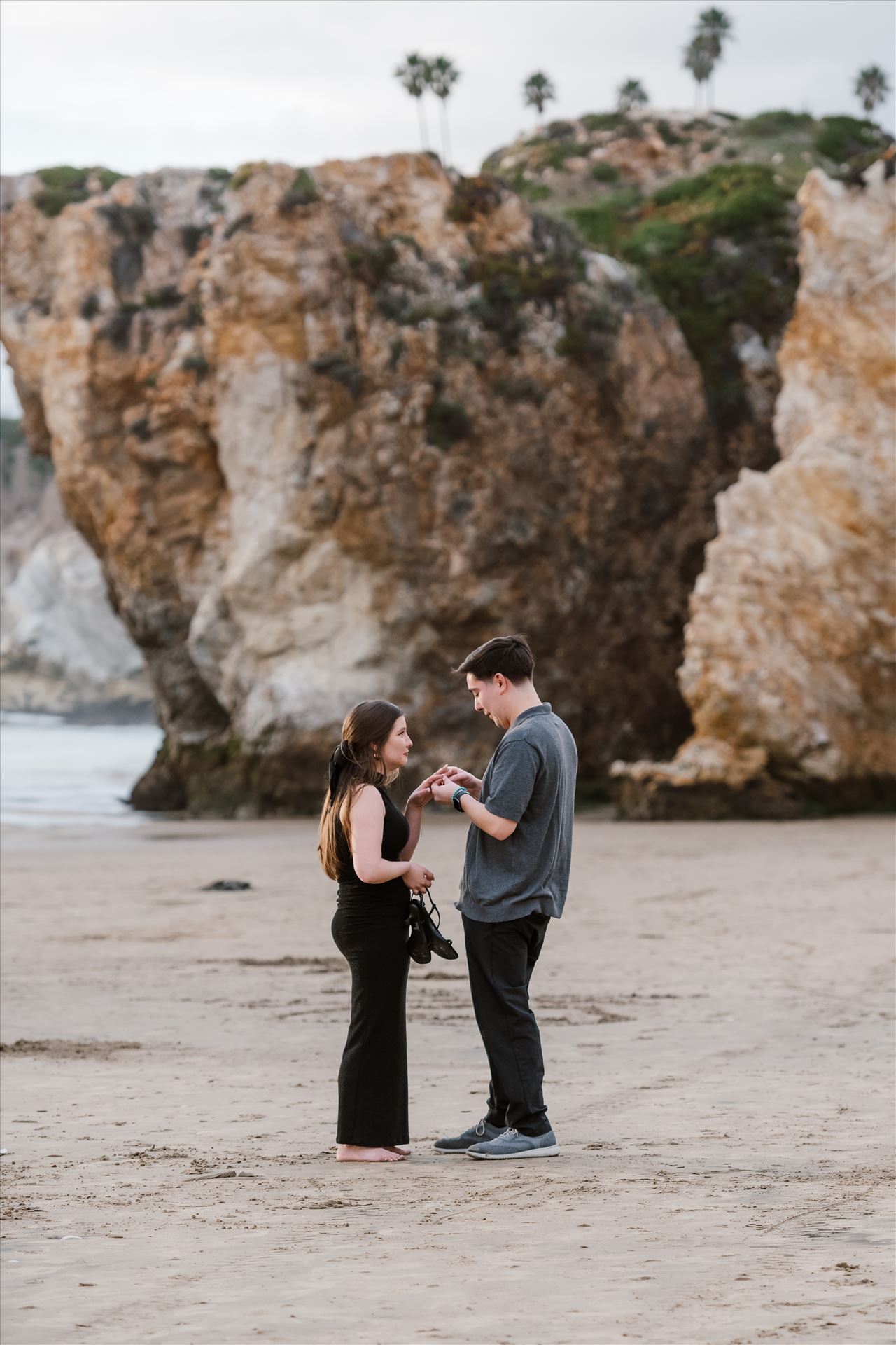 Final-3104.jpg  by Sarah Williams