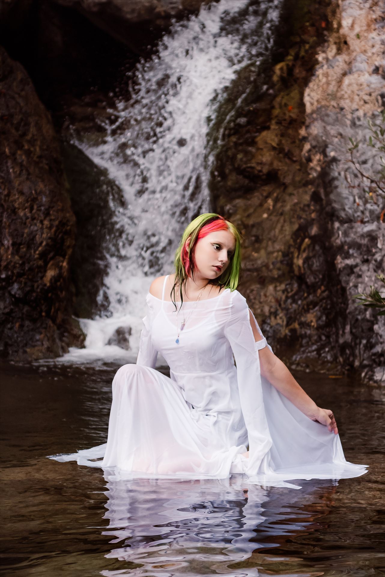 Final--3.jpg  by Sarah Williams