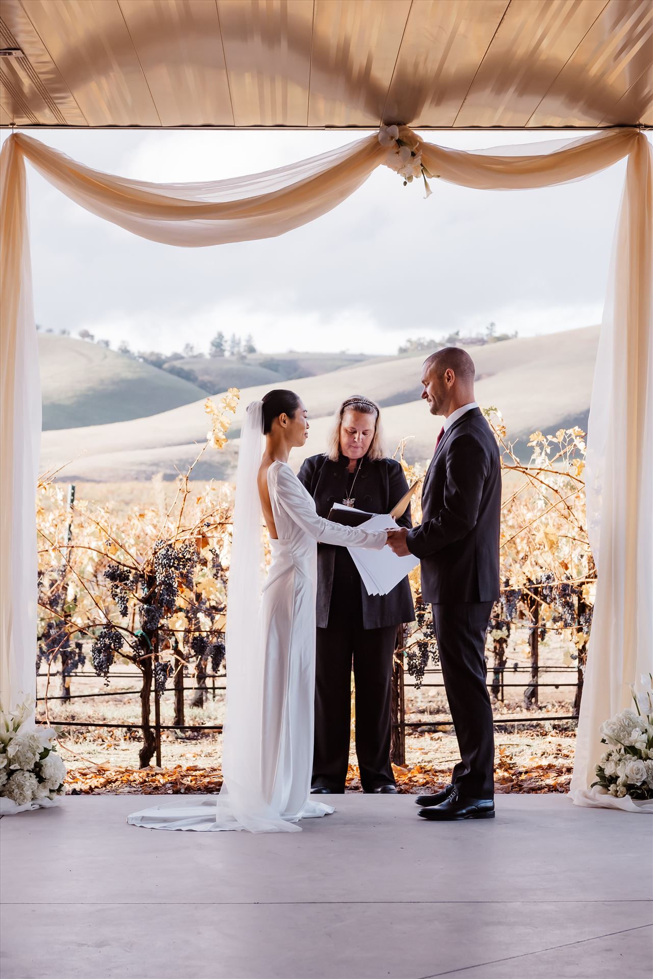 Final-9131.jpg  by Sarah Williams