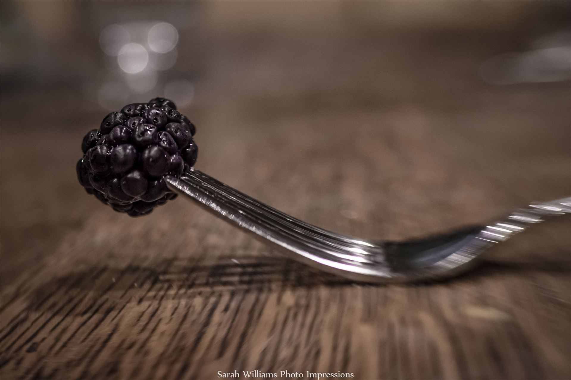 Black Berry on Fork.jpg  by Sarah Williams